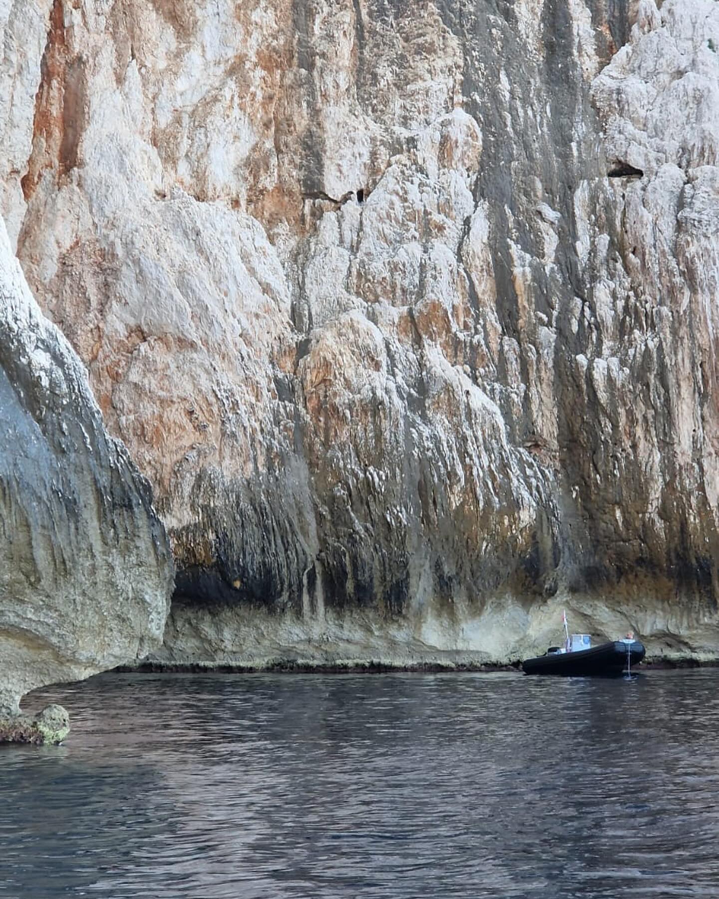 snapshots of revenge solitude #nurra #sardegnaphoto #zen