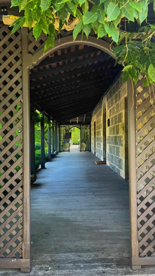Summertime and our garden provides multiple places to relax and enjoy country life; buy a picnic hamper from @piperstfoodco and local wines from @banksfinewine and there’s simply no need to leave!
St Paul’s Church, the mother church of the Old Rectory, can be seen in the last image: the Rectory was occupied before the Church was built so as a consequence early services were held at the Rectory.
Booking enquires via @airbnb or our website.
The Old Rectory is listed by @nationaltrustvic and rated ⭐️⭐️⭐️⭐️⭐️ on @google
Our garden is maintained by @ruralgardensaustralia and has appeared on @abcaustralia “Dream Gardens”, hosted by Macedon Ranges landscape designer @michaelmccoyongardens
Terracotta pots from @kellockpotsnplanters
@fermob outdoor dining furniture from @classicwithatwist
Teak outdoor dining table from @jatifurnitureaus
@visitmacedonranges
@daylesfordmacedonranges
@piperstkyneton #kyneton
#oldrectory
#circa1850
#oldrectorygarden
#kynetonaccommodation
#creativekyneton
#kynetonlux
#countrylife
#summer
#parterre
#bluestone
#verandah
#trellis
#australiancolonialarchitecture
#sunkengarden
#pond
#fountain
#walnuttree
#lawn
#dixoniaantarctica fern
@david_austin_roses “Clare Austin”
#hydrangeapetiolaris
#buxus
#alium “millennium”
#salvia schneehuegel