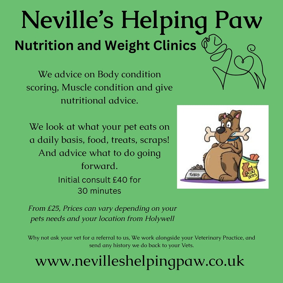 I can help with weight loss and nutrition advice for your furry family members.