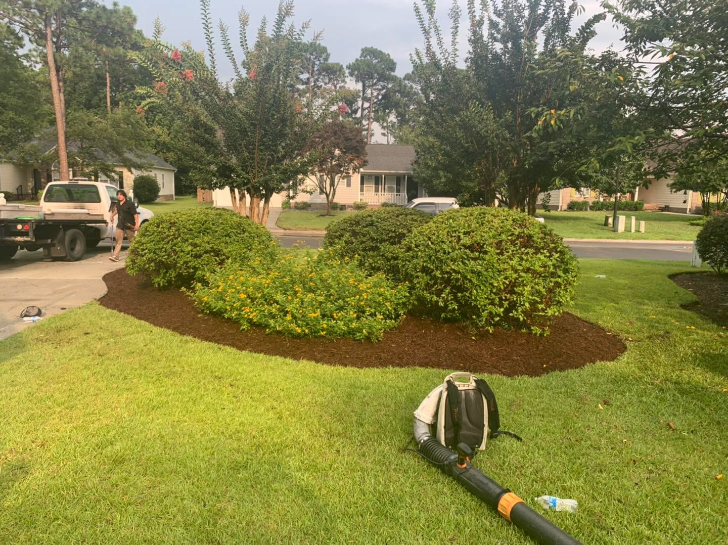 Another one🌱🤌🏻
#wilmington #leland #castlehayne #landfall #wrightsvillebeach #downtownwilmington #portersneck #carolinabeach #ogden #monkeyjunction #rubbermulch #mulch #chocolatemulch #lawncare #lawnmaintenance #pruning #sod #ilm #portcity #landscaping #landscapes #Wilmingtonnc #commercial #residential