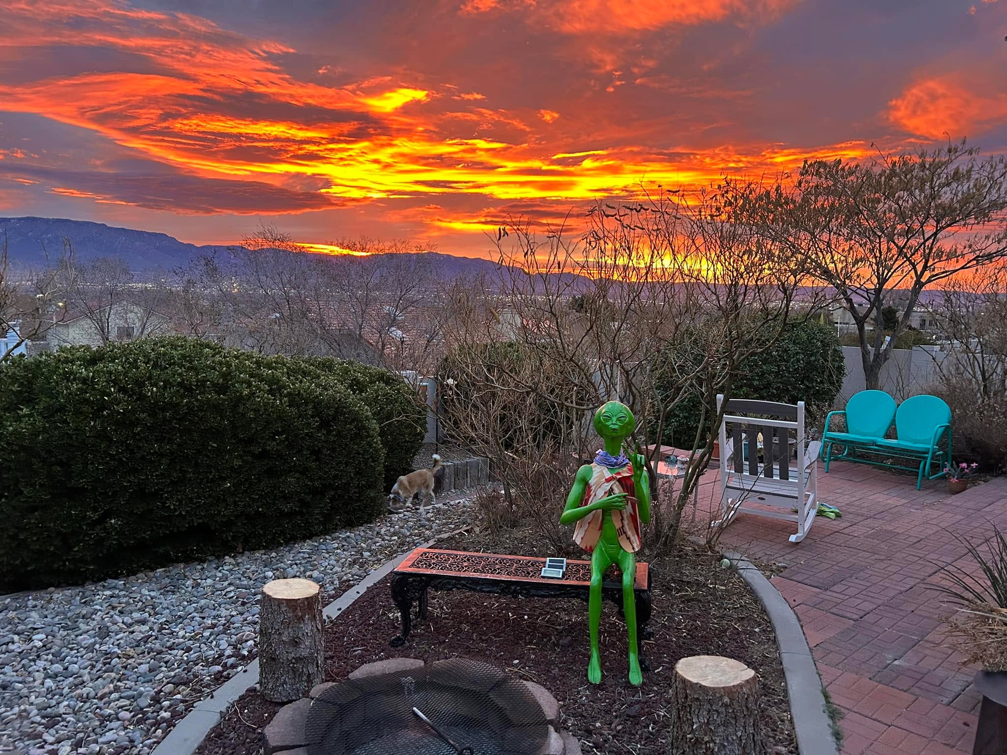 Good morning sunshine