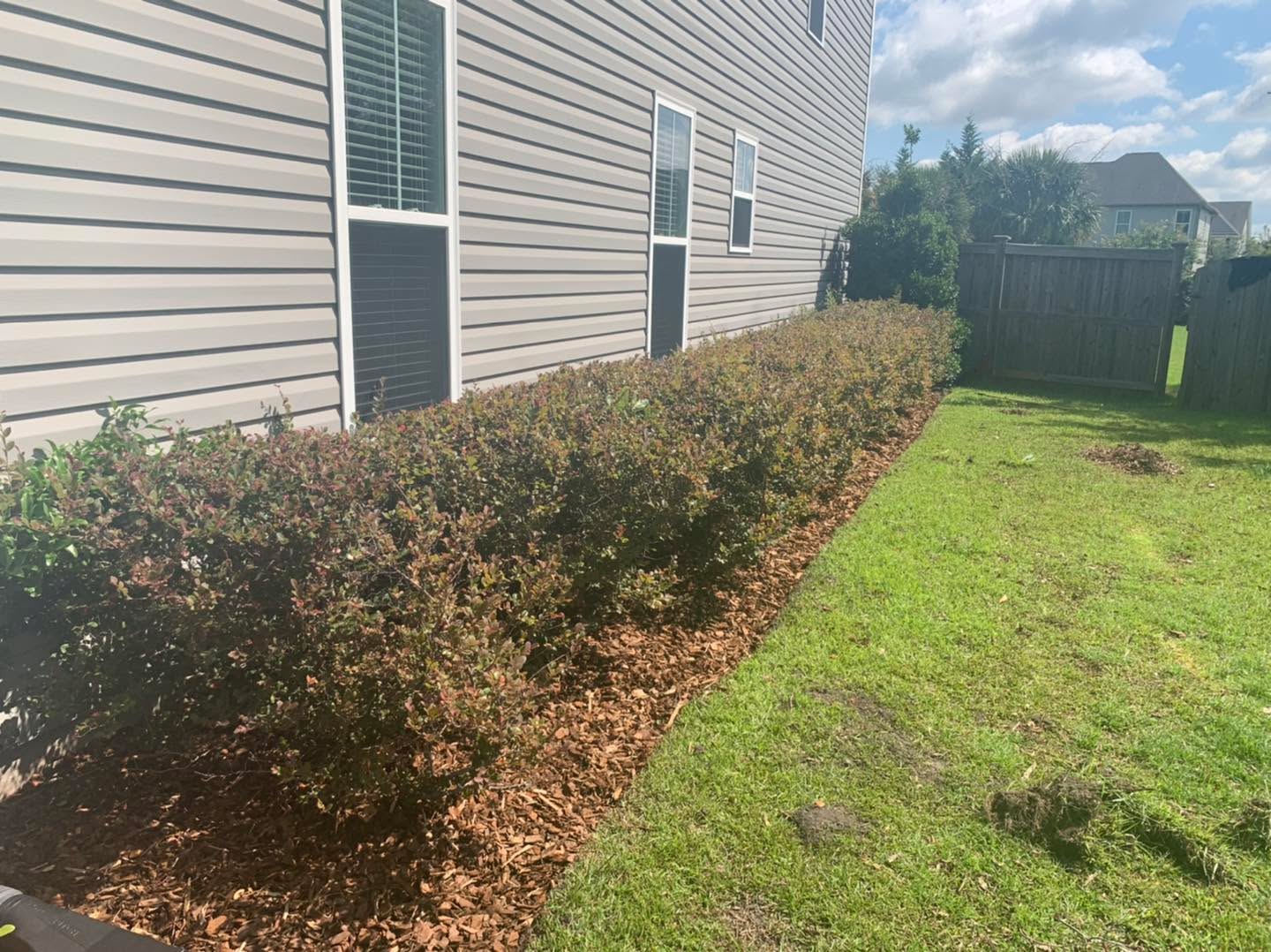 For my eco-friendly landscapes!!
Pine bark mulch is an excellent option! No artificial dyes or preservatives. Contact us for a quote today!
#wilmington #leland #castlehayne #landfall #wrightsvillebeach #downtownwilmington #portersneck #carolinabeach #ogden #monkeyjunction #rubbermulch #mulch #chocolatemulch #lawncare #lawnmaintenance #pruning #sod #ilm #portcity #landscaping #landscapes #Wilmingtonnc #commercial #residential