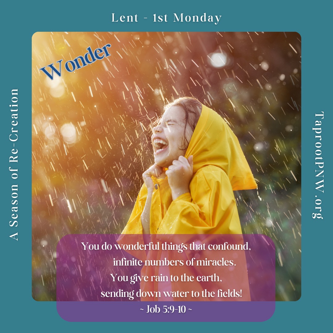 Wonder - "You do wonderful things that confound, infinite numbers of miracles. You give rain to the earth, sending down water to the fields!" ~ Job 5:9-10
#Lent2025 #wonder #taprootpnw #aseasonofrecreation #rainydays