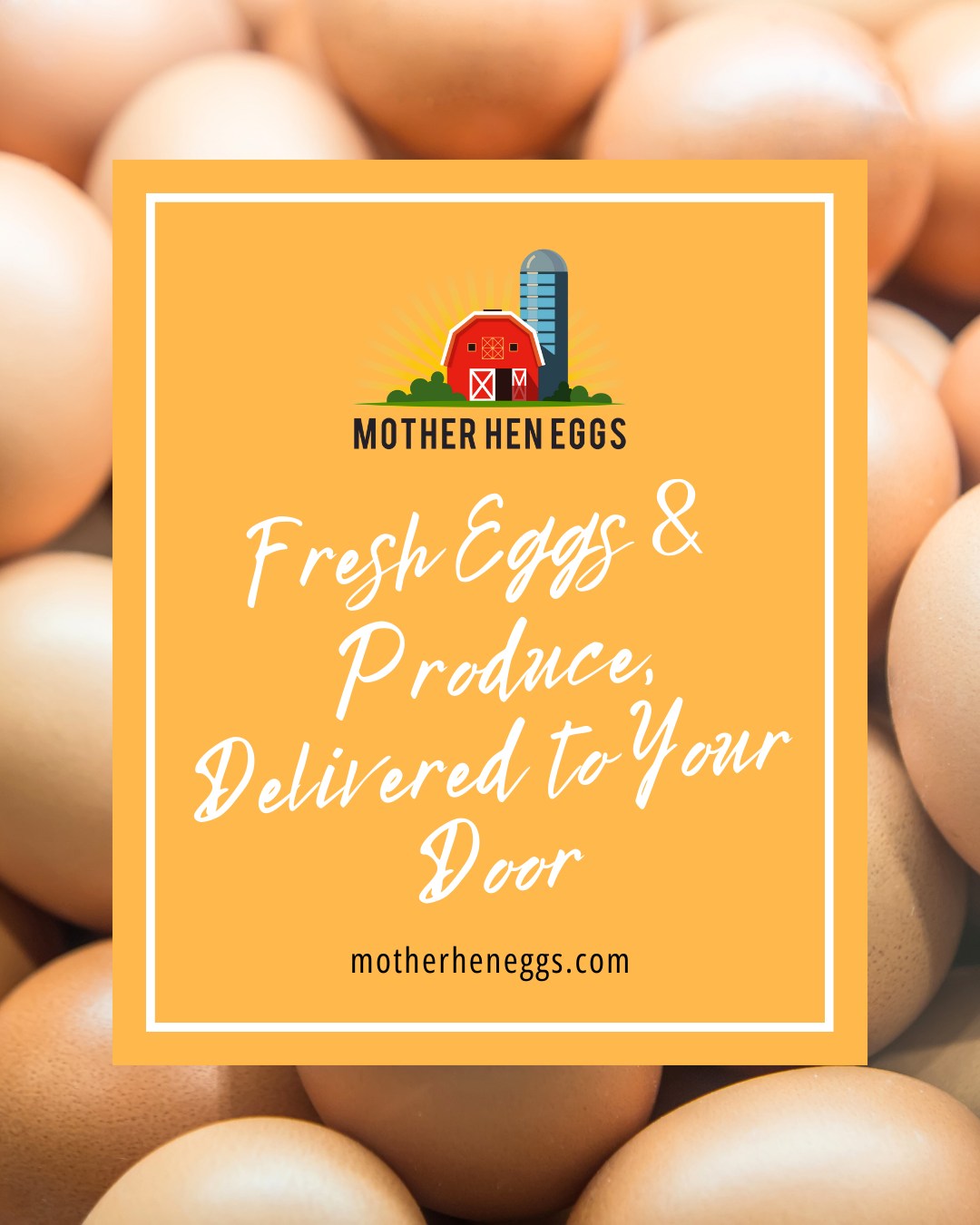 We’ve been a little quiet on here, but we're back! 👋 If you’re new here, welcome to Mother Hen Eggs, where fresh, free-range eggs and hand-picked produce are delivered straight to your door, hassle-free.
It all started in 2017 with a simple idea: getting high-quality, ethically sourced food should be easy. Since then, we’ve grown, but our mission has stayed the same – delivering the freshest eggs and produce without the faff.
With our flexible subscription service, you can get your essentials delivered weekly, fortnightly, or monthly, no more last-minute supermarket trips!
Stick around for fresh food tips, easy meal inspiration, and exclusive updates. Let’s make mealtimes fresher #cardiffsmallbusiness #southwalessmallbusiness #freerangeeggs #cardifffoodie #cardiffmums