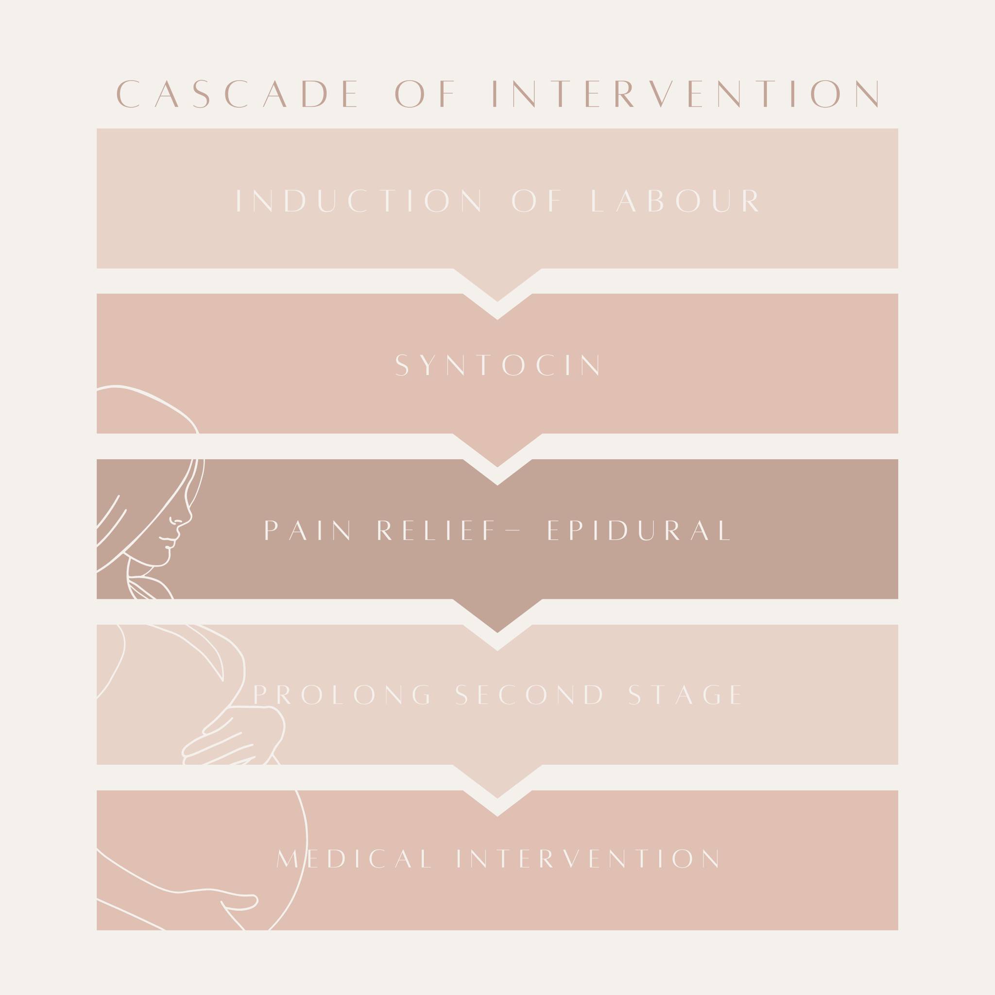 Understanding the Cascade of Intervention- When considering induction methods like AROM and Syntocinon, it's important to recognise their potential impact. Let us take you through a birth experience that we hear often from first time parents that haven't partaken in independent childbirth classes.
Let's say you've been for a routine midwife appointment and they notice your fluids sitting a little low, or your measurements are a little further behind where the average would be. You start to feel a bit nervous so you consent to an induction by having your waters broken (AROM). With broken waters comes Syntocinon, a synthetic form of the body's natural hormone, Oxytocin. Synthetic Oxytocin reduces the amount of natural pain-relieving hormones your body releases (Endorphins). This means you're more likely to opt for pain relief as labour becomes intense very quickly, and the most used form of pain relief during labour is an epidural. An epidural reduces our movement, we are unable to utilise gravity and are limited in position changes. Epidurals can decrease the sensation to push, prolong the second stage of labour, which can increase incidence of fetal distress and an increased risk of an episiotomy, instrumental delivery or a caesarean section.
Every woman and baby is different, although interventions are more likely to cause more interventions, it does not mean that this is necessarily the case for you. Learn your options, stay informed, empowered, and advocate for the birth experience that's right for you and your baby. #BirthChoices #InformedDecisions