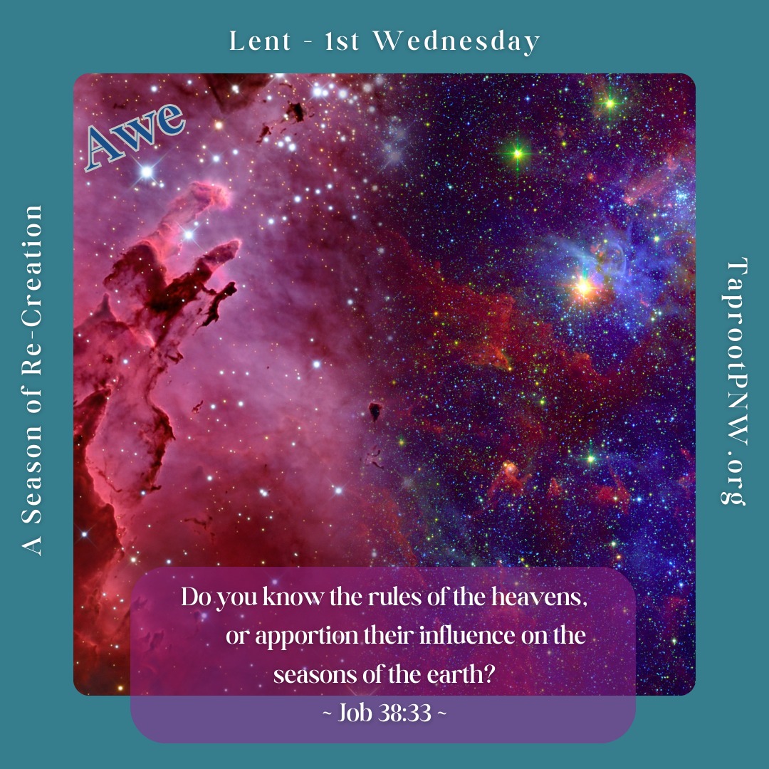 Continuing on our Lenten Journey, this week in the book of Job, we explore awe, humility and giving. Asking the unanswerable questions when encountering the Divine Mystery is perfectly human. And listening while Divine invites us to deeper communion through Their own questioning - this too, is part of prayer.
#ask #seek #discover #sacredmystery #prayer #TaprootPNW #staycurious #awe #wonder #humility