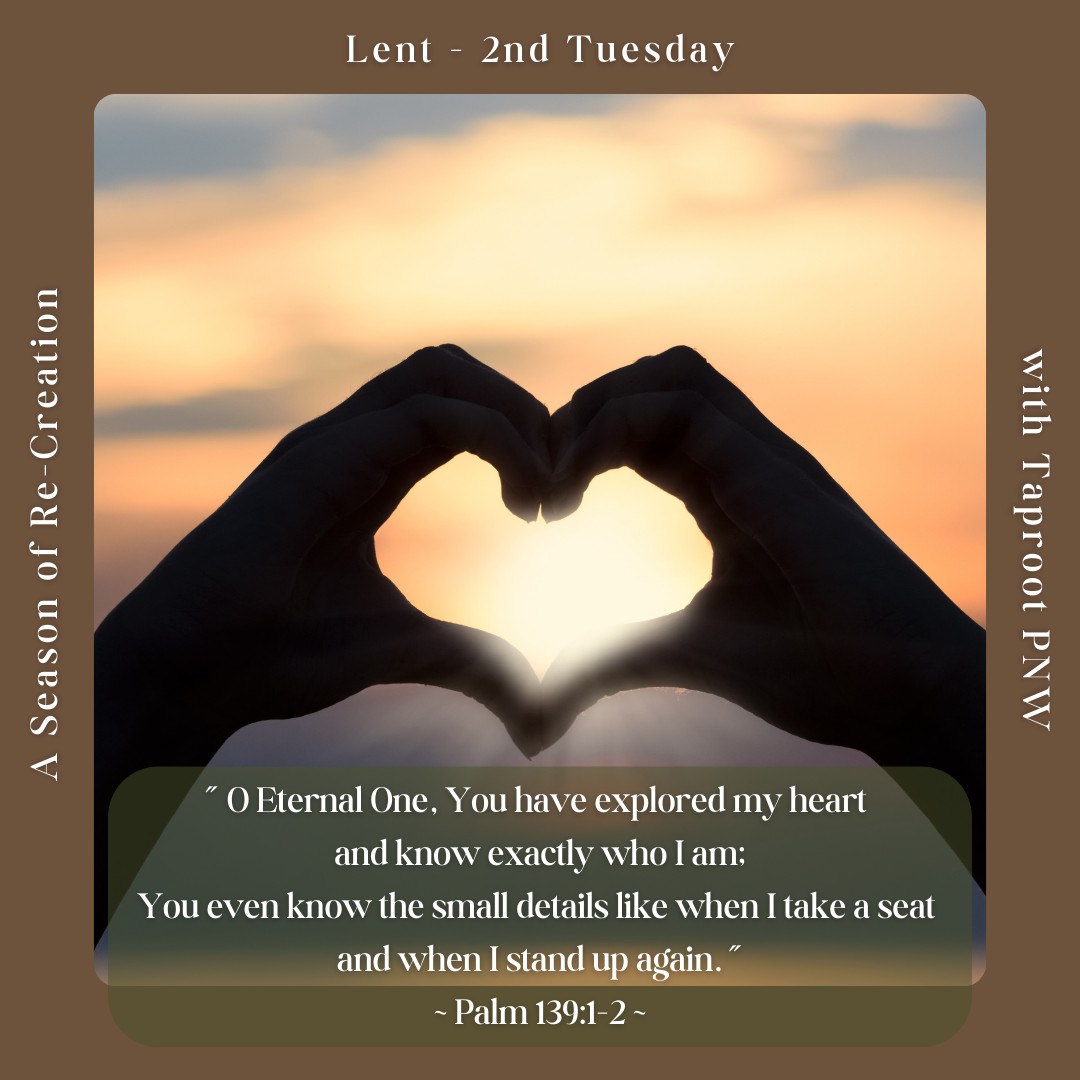 Lent, 2nd Tuesday - How does it feel to know that the Creator of the Universe takes an interest in each human, in each plant, in each animal? Psalm 139, revels in the majesty of Creator's knowledge and tremendous intimacy with creation.
#taprootpnw #Lent2025 #sacredmystery #prayer #details #intimacy
