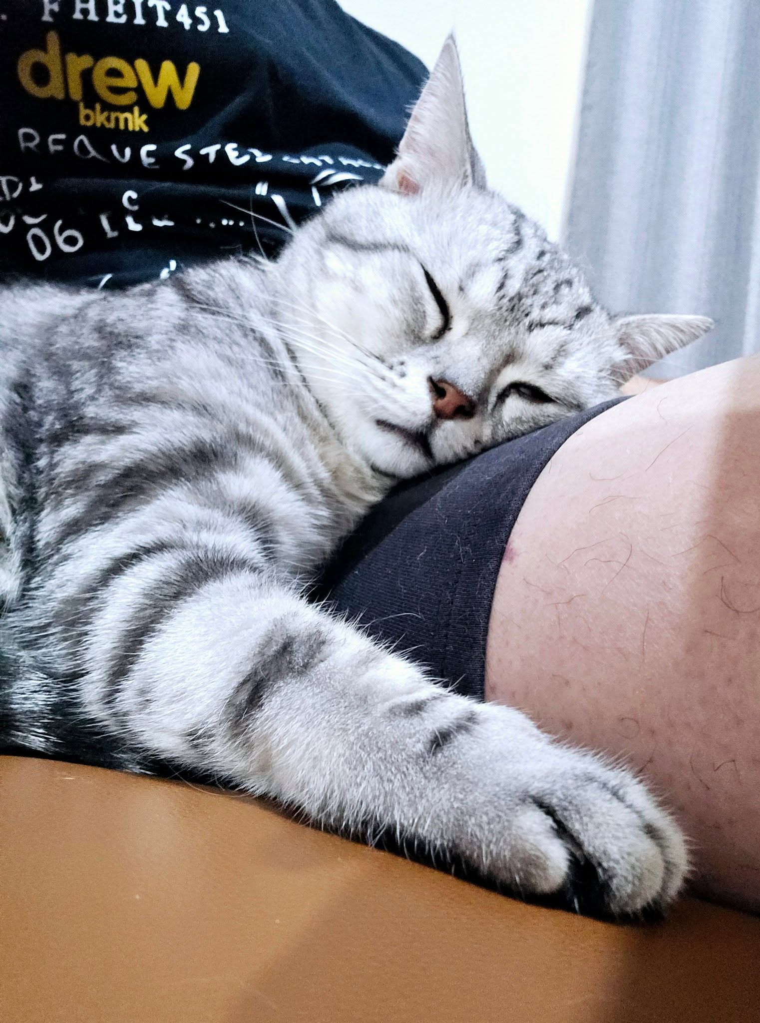 #Haru