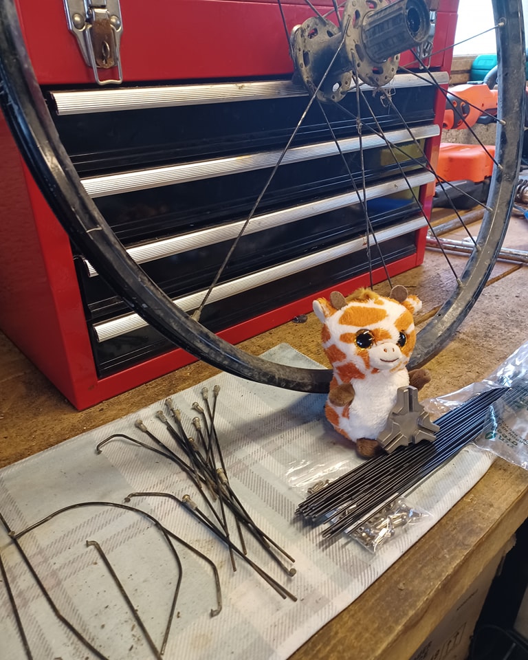 Wee Gary is helping in the workshop today and has been tasked with a full wheel respoke after a customer brought in his damaged wheel.