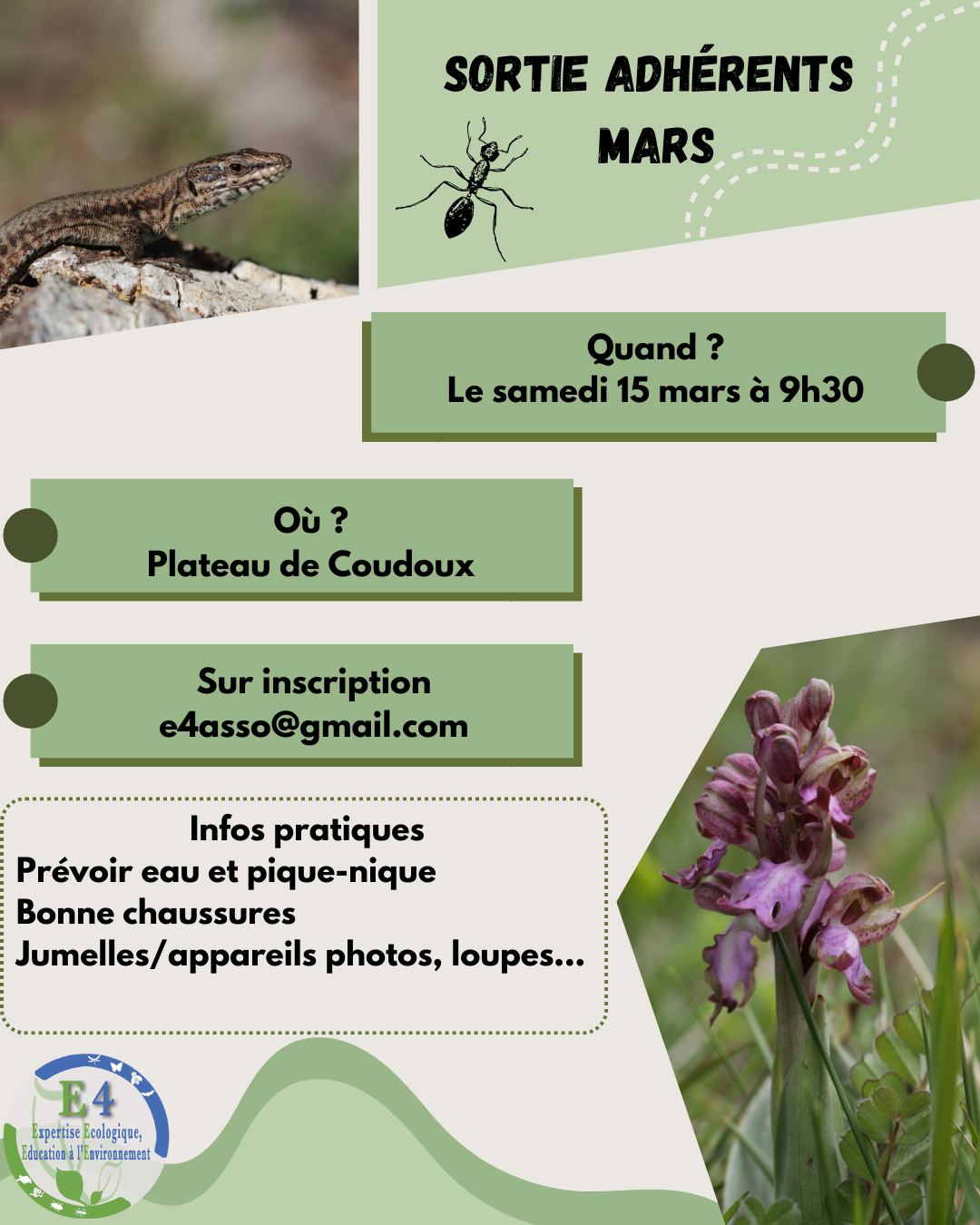 Chers adhérents (et futurs adhérents), la deuxième sortie de l'année arrive !
Nous irons à l'occasion au plateau de Coudoux afin d'y découvrir la biodiversité locale.
Si vous êtes libres et intéressés, alors adhérez si ce n'est pas déjà fait et inscrivez-vous par mail :
📝Adhésion : via le lien en bio du compte
✉️ Inscription : e4asso@gmail.com
📍 Le lieu précis du rendez-vous sera communiqué par mail.
Au plaisir de vous y retrouver !
