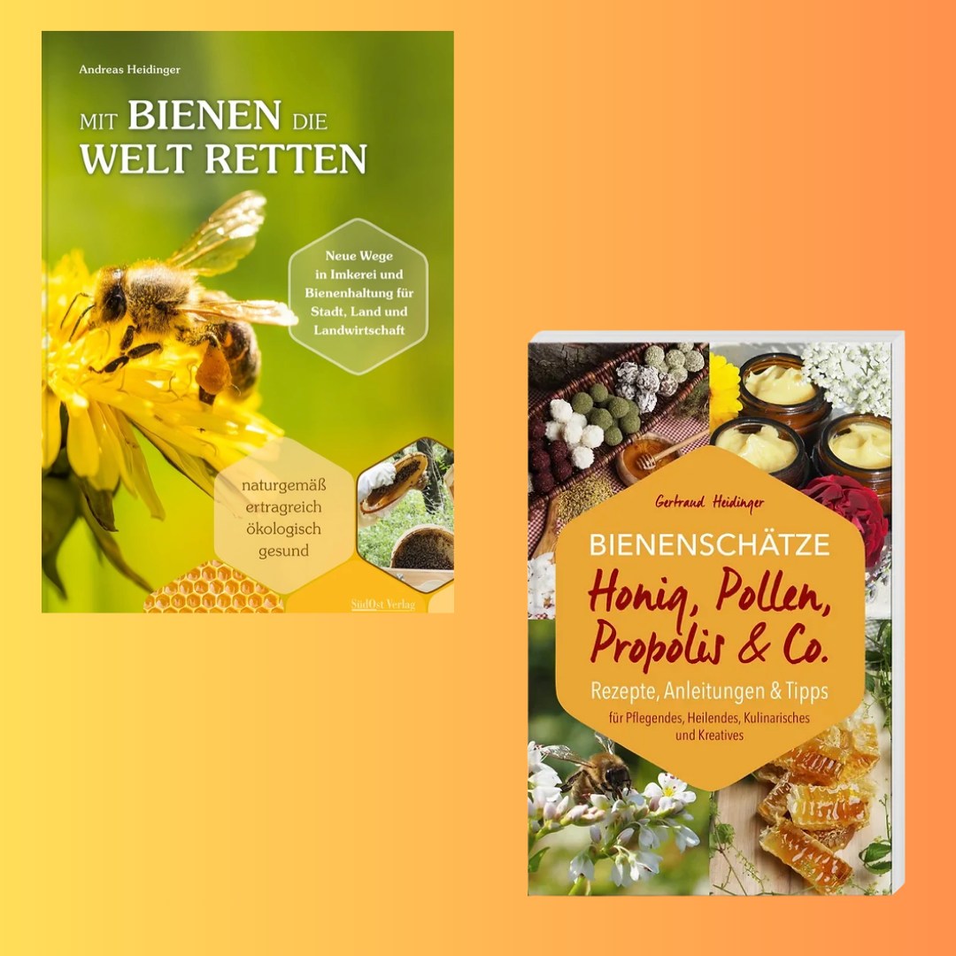 🐝📚 Zwei Bücher, ein Ziel – Die Welt der Bienen entdecken! 🌼✨
Die Bücher von Andreas Heidinger und Gertraud Heidinger sind eine Bereicherung für alle, die die Welt der Bienen besser verstehen und sich für nachhaltige Bienenhaltung sowie die vielseitigen Schätze der Bienen begeistern möchten.
📖 Mit Bienen die Welt retten von Andreas Heidinger
Dieses Buch zeigt neue Wege in der Imkerei und Bienenhaltung auf – perfekt für Stadt, Land und Landwirtschaft. 🌍🐝
Themen: Nachhaltige Bienenhaltung, essbare Bienenwälder, Energieeffizienz durch runde Bauweisen.
Für wen: Imker, Naturfreunde und alle, die aktiv zum Schutz der Bienen und der Natur beitragen möchten.
🌿 Highlight: Ein Leitfaden, wie Bienenhaltung unsere Sicht auf die Umwelt verändert und uns zeigt, wie wichtig sie für unser Ökosystem sind.
📖 Bienenschätze – Honig, Pollen, Propolis & Co. von Gertraud Heidinger
Tauche ein in die vielfältige Welt der Bienenprodukte! Dieses Buch liefert praktische Rezepte und Tipps, wie Honig, Pollen und Propolis in Küche, Kosmetik und Heilung genutzt werden können. 🍯✨
Themen: Rezepte für Pflegeprodukte, heilende Anwendungen, kulinarische Ideen und kreative Projekte.
Für wen: Alle, die die Schätze der Bienen für ihren Alltag entdecken und nutzen möchten.
🌸 Highlight: Schritt-für-Schritt-Anleitungen und inspirierende Ideen für die vielseitige Anwendung von Bienenprodukten.
🐝💛 Beide Bücher sind eine ideale Kombination aus Wissen, Praxis und Inspiration für alle, die Bienen lieben und sich für eine nachhaltige Zukunft einsetzen wollen!
#Bienenkugel #MitBienenDieWeltRetten #Bienenschätze #NachhaltigeImkerei #Bienenliebe #RettetDieBienen #BienenFreunde #HonigPropolisPollen #BuchTipp #Naturschutz