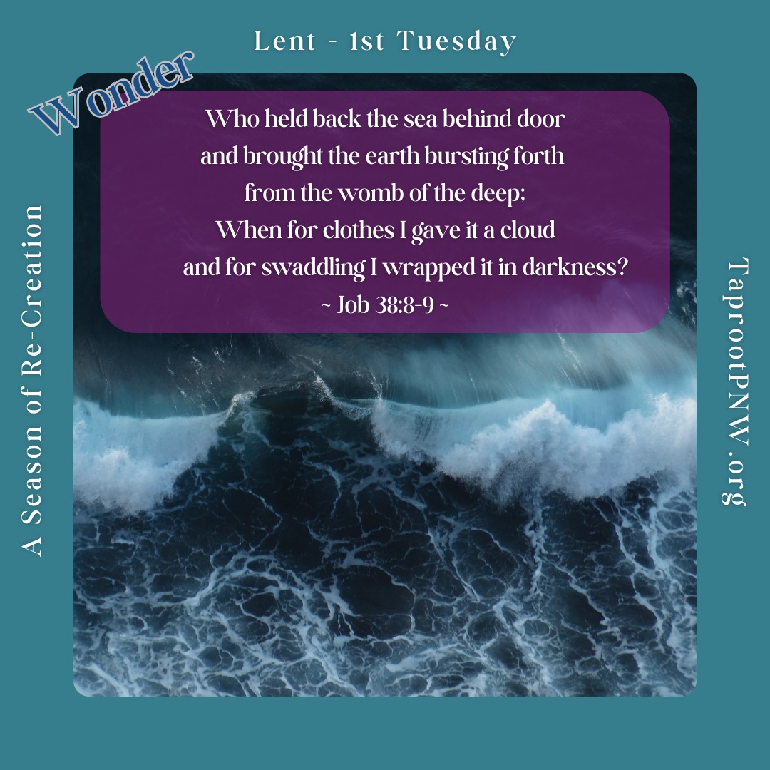 This week, we gaze in wonder as the Spirit of Divine speaks to Job at an incredibly difficult time in his life. Job wonders, in his grief, over the cause of the troubles, death, destruction and the chaos that his life and community have been thrown into, and Spirit draws near to invite Job into contemplation of the deeper questions...
#wonder #questions #faithchallenge #griefjourney #taprootpnw #Job #divedeep #Lent2025 #askdivineguidance