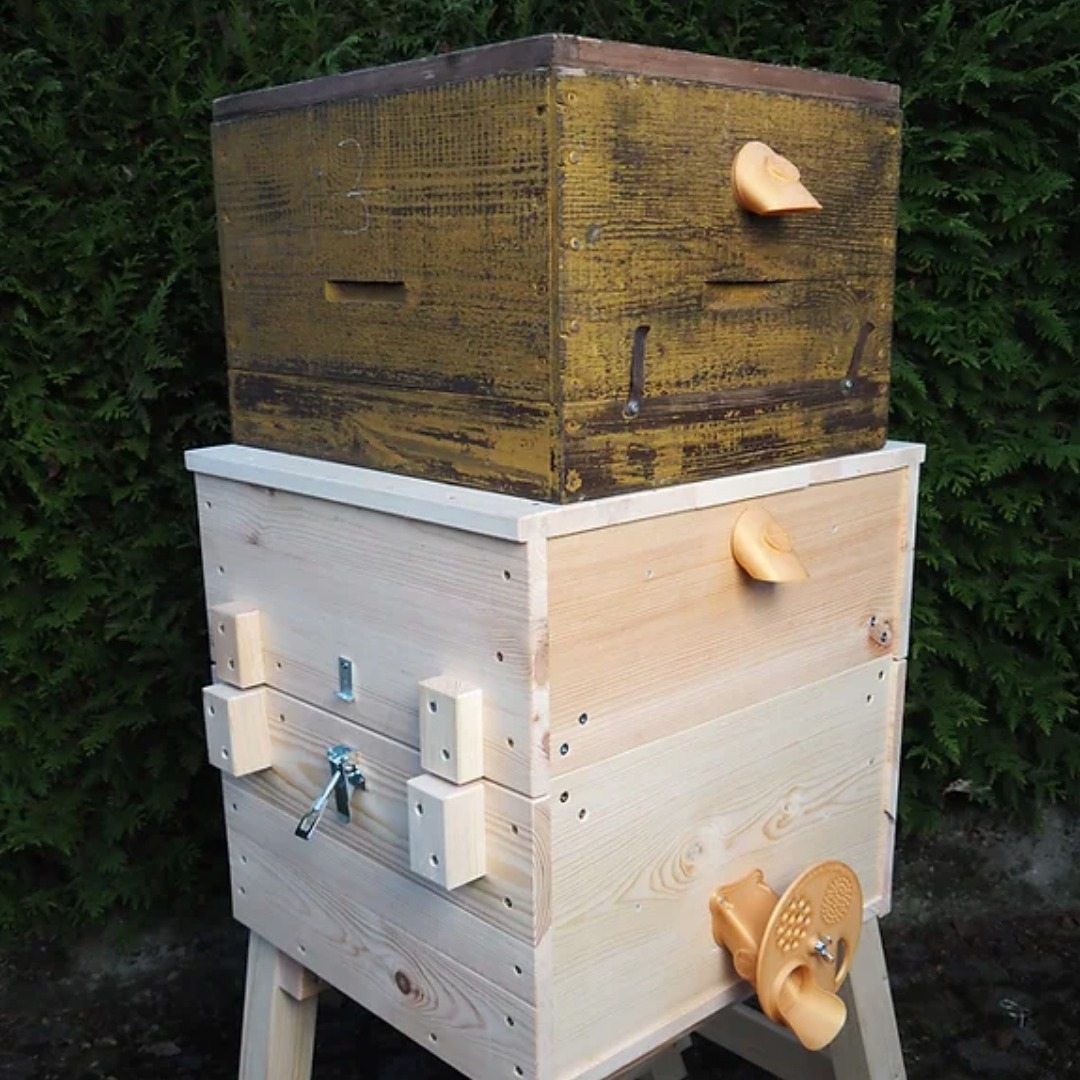 🐝🌿 Die Bienenkugel – Naturnahe Bienenhaltung für eine bessere Zukunft 🌍✨
Die Bienenkugel ist eine innovative und nachhaltige Lösung für die moderne Imkerei. Ihre runde Bauweise basiert auf dem natürlichen Lebensraum der Bienen – Baumhöhlen –, wodurch sie optimale Bedingungen für eine gesunde und stressfreie Entwicklung der Bienenvölker schafft. 🌳🐝
Warum die Bienenkugel?
🌼 Natürlicher Wabenbau – Die Bienen können ihre Waben frei und instinktiv gestalten, ohne vorgegebene Rahmen.
🔥 Effiziente Temperaturregulierung – Die Kugelform speichert Wärme im Winter und sorgt für ein ausgeglichenes Klima im Sommer.
🍯 Nachhaltige & stressfreie Bienenhaltung – Weniger Eingriffe bedeuten weniger Stress für die Bienen und fördern ein gesünderes Volk.
🛠️ Einfache & rückenschonende Handhabung – Ideal für Anfänger und erfahrene Imker durch ergonomisches Arbeiten.
🌍 Bienenfreundlich & ressourcenschonend – Die Bauweise spart Energie und fördert eine nachhaltige Imkerei.
Die Bienenkugel ist mehr als nur ein Bienenstock – sie ist ein Beitrag zum Schutz der Bienen und zur Förderung der Artenvielfalt. Egal ob im Garten, auf dem Land oder in der Stadt – mit der Bienenkugel kannst du aktiv zur Erhaltung der Bienen beitragen.
🐝💛 Naturnah, innovativ und nachhaltig – Die Zukunft der Bienenhaltung beginnt hier!
#Bienenkugel #NachhaltigeImkerei #Bienenschutz #Bienenliebe #NaturnaheImkerei #RettetDieBienen #BienenFreunde #Bienenwohl