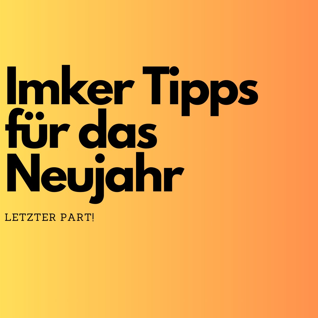 🐝✨ Imker-Tipps für einen erfolgreichen Start ins neue Jahr! 🌿🍯
Mit diesen Schritten kannst du 2025 gut vorbereitet beginnen und deine Bienenvölker optimal unterstützen:
📋 Bestandsaufnahme machen: Überprüfe deine gesamte Imkereiausrüstung. Sind alle Rähmchen, Smoker und Werkzeuge in gutem Zustand? Plane rechtzeitig, was ersetzt oder ergänzt werden muss, damit du im Frühjahr direkt durchstarten kannst. 🛠️🐝
🌼 Frühlingstracht planen: Analysiere die Pflanzen in deiner Region und überlege, wie du die Tracht für deine Bienen verbessern kannst. Pflanze Frühblüher wie Krokusse, Winterlinge und Schneeglöckchen, um deinen Bienen einen starken Start ins Jahr zu ermöglichen. 🌸✨
👑 Neue Königinnen planen: Wenn du deine Völker erweitern oder stärken möchtest, ist jetzt die beste Zeit, neue Königinnen zu planen. Eine starke, gesunde Königin sorgt für ein vitales und erfolgreiches Volk. 💛🐝
Mit diesen Maßnahmen legst du den Grundstein für ein erfolgreiches Imkerjahr 2025! 🌿🐝
#ImkerTipps #Bienenkugel #Bienenliebe #NachhaltigeImkerei #Frühlingstracht #RettetDieBienen #BienenFreunde #NeujahrsTipps