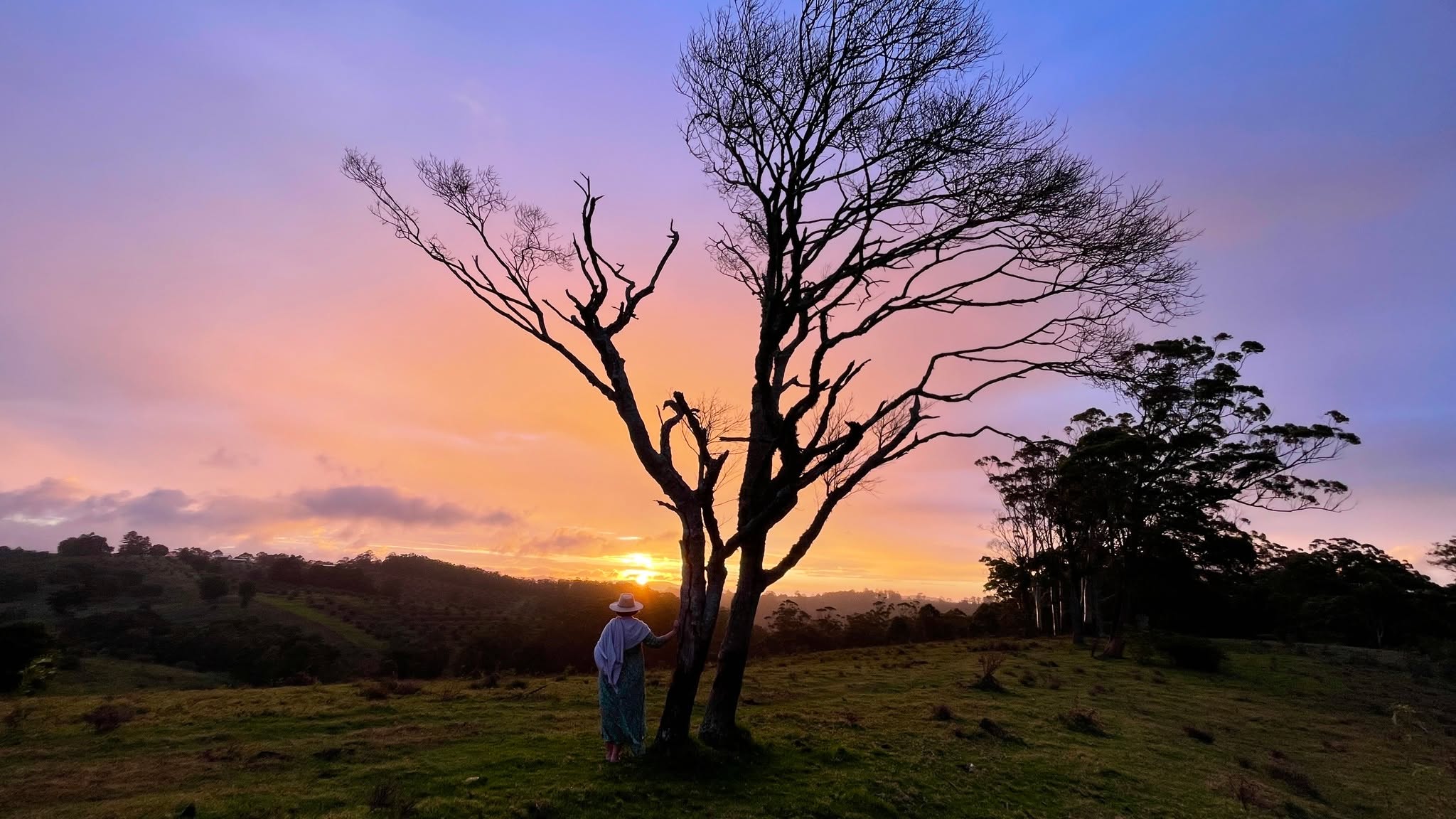 Some fantastic sunset shots from one of our previous guests! Thanks Lyne and Rene.👌🙌
#sunset #fyreflyretreat #scenicrimqld #weekendgetaway #beechmontqld #tinyhouse