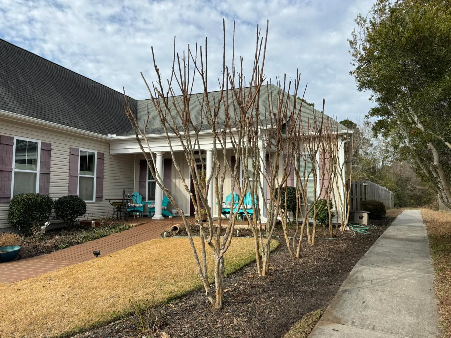 Yes! We do trim crepe myrtles. The proper way.
#wilmington #leland #castlehayne #landfall #wrightsvillebeach #downtownwilmington #portersneck #carolinabeach #ogden #monkeyjunction #rubbermulch #mulch #chocolatemulch #lawncare #lawnmaintenance #pruning #sod #ilm #portcity #landscaping #landscapes #Wilmingtonnc #commercial #residential