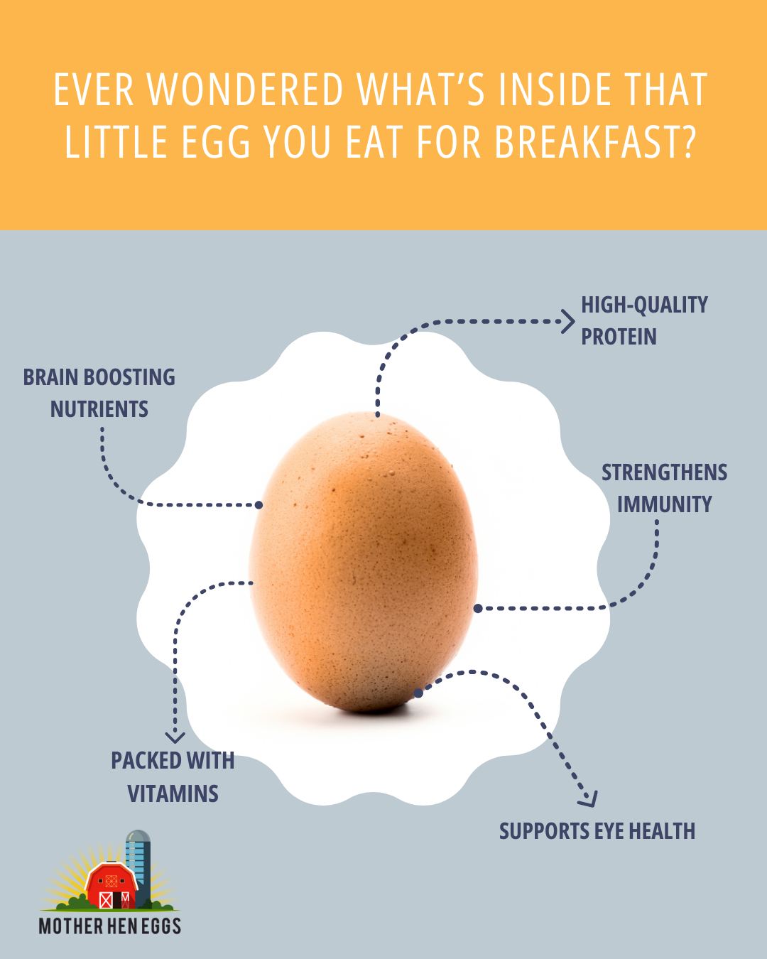 Did you know that eggs are packed with protein, vitamins, and antioxidants? 🥚 They’re not just delicious, but an easy way to boost your health every day
Want fresh, free-range, golden yolked eggs delivered free to your door? 🍳💛
Send us a message or head to the link in our bio for more info. We’re here to help you get started on the fresh food journey!
