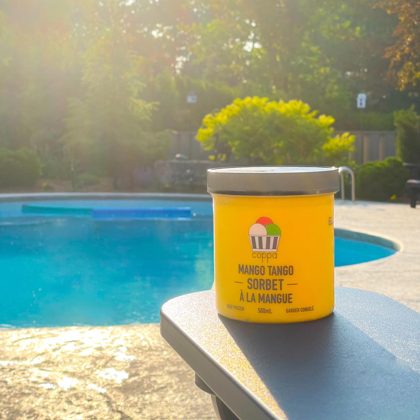 Is there anything more perfect than a comfy chair, a beautiful day and a pint of Mango Tango Sorbet? 🥭We don’t think so!!! Did you know our ‘Pints’ are not only delicious treats but are also the perfect reusable storage container for all your summer needs? Whether it’s storing your poolside snacks 🏊 or hiding your keys 🔑 and wallet at the beach, a Coppa ‘Pint’ is the perfect fit; plus it comes with some tasty gelato or sorbet for you to finish first! Did someone say bonus?! 🤩
#LondonOn ##EatLocal #ldnont #SobeysLookForLocal #Foodstagram #Foodie #FoodInspo #TheCoppa #ASmileInEveryCup #Sorbet #SorbetAllDay #LondonOnEats #OntarioMade #Happy #Family #FamilyBuisness