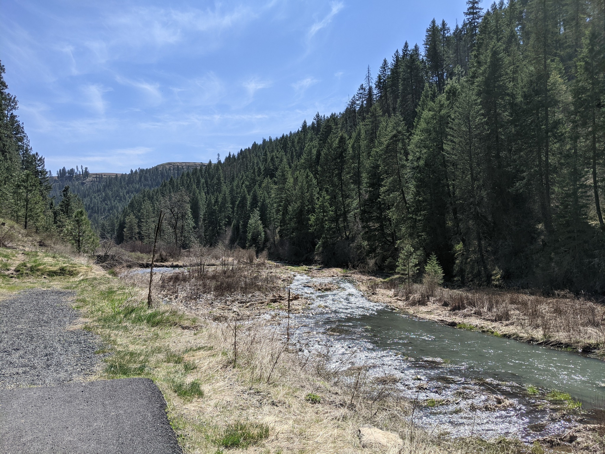 NOTICE: The Latah Trail will be closed below the most downstream bridge of the paved section in Bear Creek Canyon from Friday, July 14th through July 31st for the Idaho Department of Fish and Game to complete the Cooley Project for instream habitat improvement.