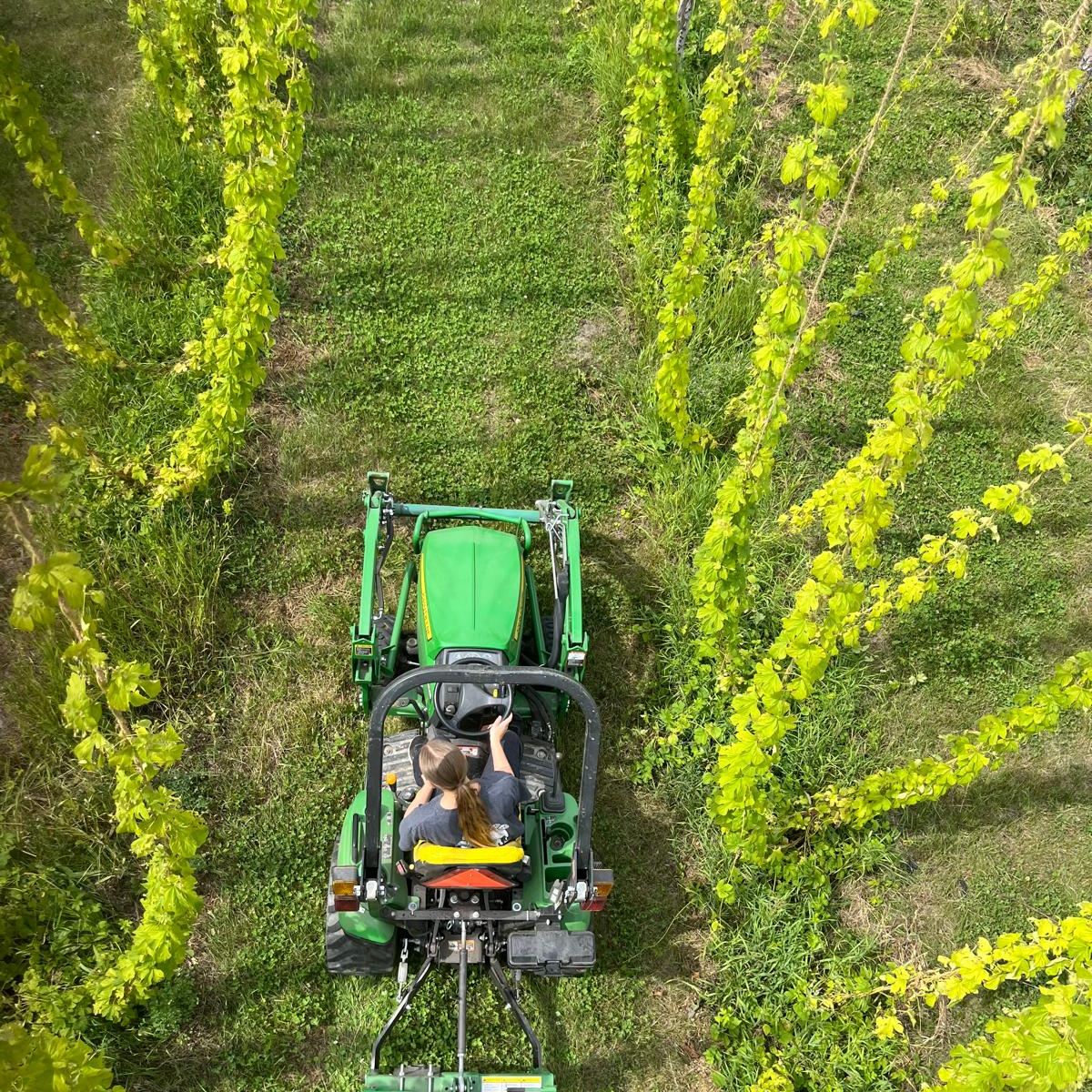Harvest is quickly approaching and the flock at Stormy Acres is hard at work!
As we all get ready for hop harvest we will be featuring our fellow Alberta hop growers over the next few days. First up is @stormyacreshops. Located near Okotoks, this family farm cannot wait for the 2024 harvest and the beers that await!
#flockingfabulous #albertahops #abcraftbeer #wethops #freshhops #harvest2024