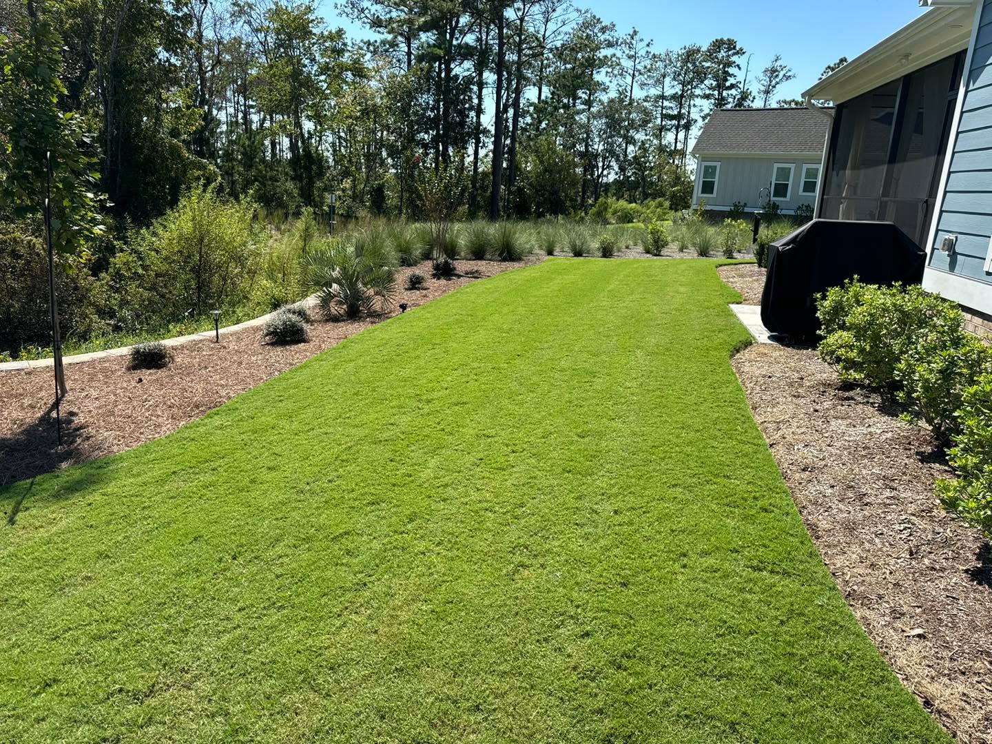 Our River Lights maintenance program in unison with @turfologync turf treatment program makes for the perfect lawn!
#wilmington #leland #castlehayne #landfall #wrightsvillebeach #downtownwilmington #portersneck #carolinabeach #ogden #monkeyjunction #rubbermulch #mulch #chocolatemulch #lawncare #lawnmaintenance #pruning #sod #ilm #portcity #landscaping #landscapes #Wilmingtonnc #commercial #residential