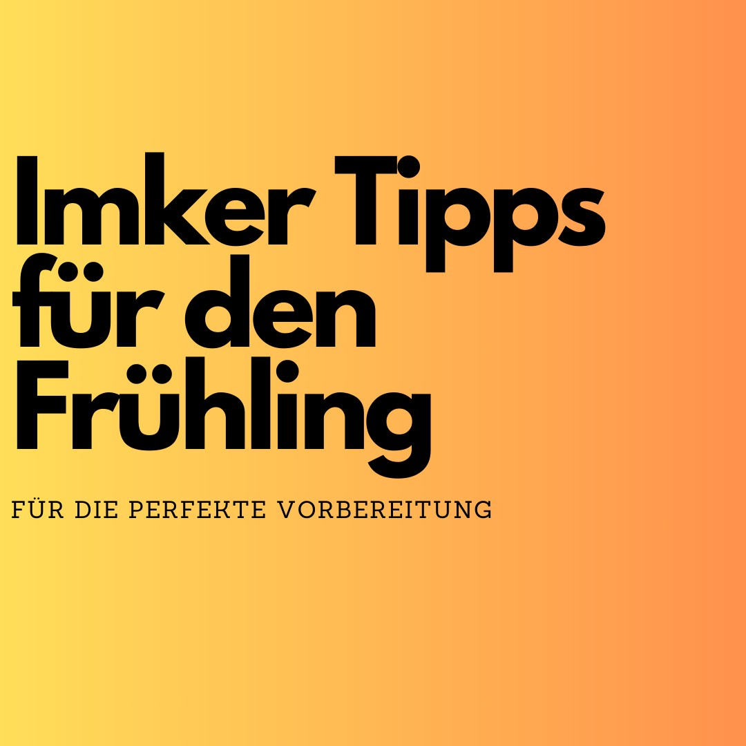 🐝🌸 Frühlingstipps für deine Bienen – Ein starker Start in die Saison! 🌼✨
Der Frühling ist da, und deine Bienen erwachen aus ihrer Winterruhe. Hier sind drei wichtige Schritte, um sie optimal zu unterstützen:
🔍 Frühjahrskontrolle: Sobald die Temperaturen über 10°C steigen, überprüfe deine Völker. Achte darauf, dass die Königin gesund ist, Brut vorhanden ist und die Futtervorräte ausreichen. Entferne alte oder verschimmelte Waben für einen frischen Start. 🐝💛
✈️ Reinigungsflug beobachten: Der erste Reinigungsflug ist ein gutes Zeichen! Beobachte, wie aktiv deine Bienen fliegen. Ein starker Flug bedeutet, dass dein Volk den Winter gut überstanden hat. 🌿✨
🍯 Futterversorgung sichern: Im Frühling kann es noch zu Futterengpässen kommen. Kontrolliere regelmäßig die Vorräte und füttere bei Bedarf mit Zuckersirup oder Futterteig nach. So sind deine Bienen immer bestens versorgt. 🌸🐝
Mit diesen Tipps machst du den Frühling für deine Bienen zum Erfolg! 🌞🐝💛
#FrühlingImkerei #Bienenkugel #Bienenliebe #ImkerTipps #RettetDieBienen #BienenFreunde #NaturnaheImkerei #Bienenschutz #Frühjahrskontrolle