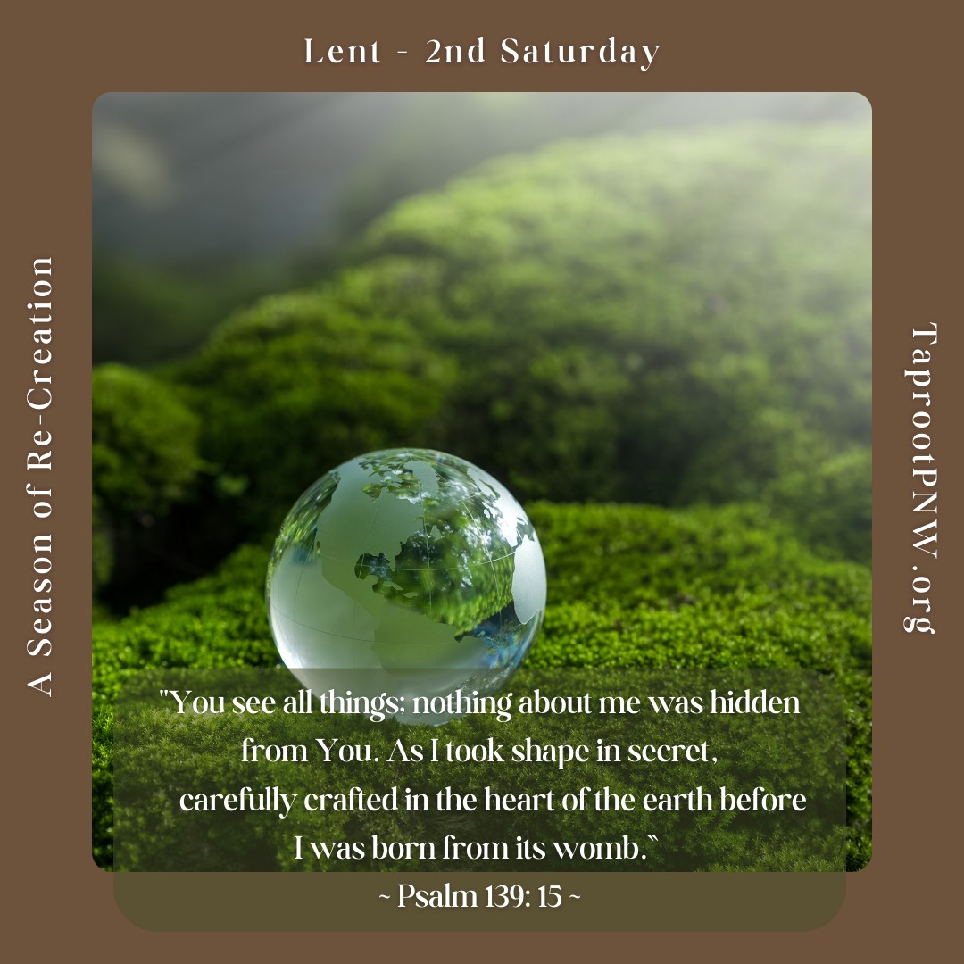 Lent, 2nd Saturday - Do you see yourself as a part of creation? Are you deeply connected to Mother Earth? The psalmist(s) often express awe and wonder regarding their place in relation to the larger world and cosmic order. Seeing ourselves as being formed in the womb of the earth before taking physical shape can shift our perspective and have a profound effect on our spiritual journey.
#taprootpnw #Lent2025 #connecting #creationcare #intimacy #cosmicenergy #sacredbirth #nature
