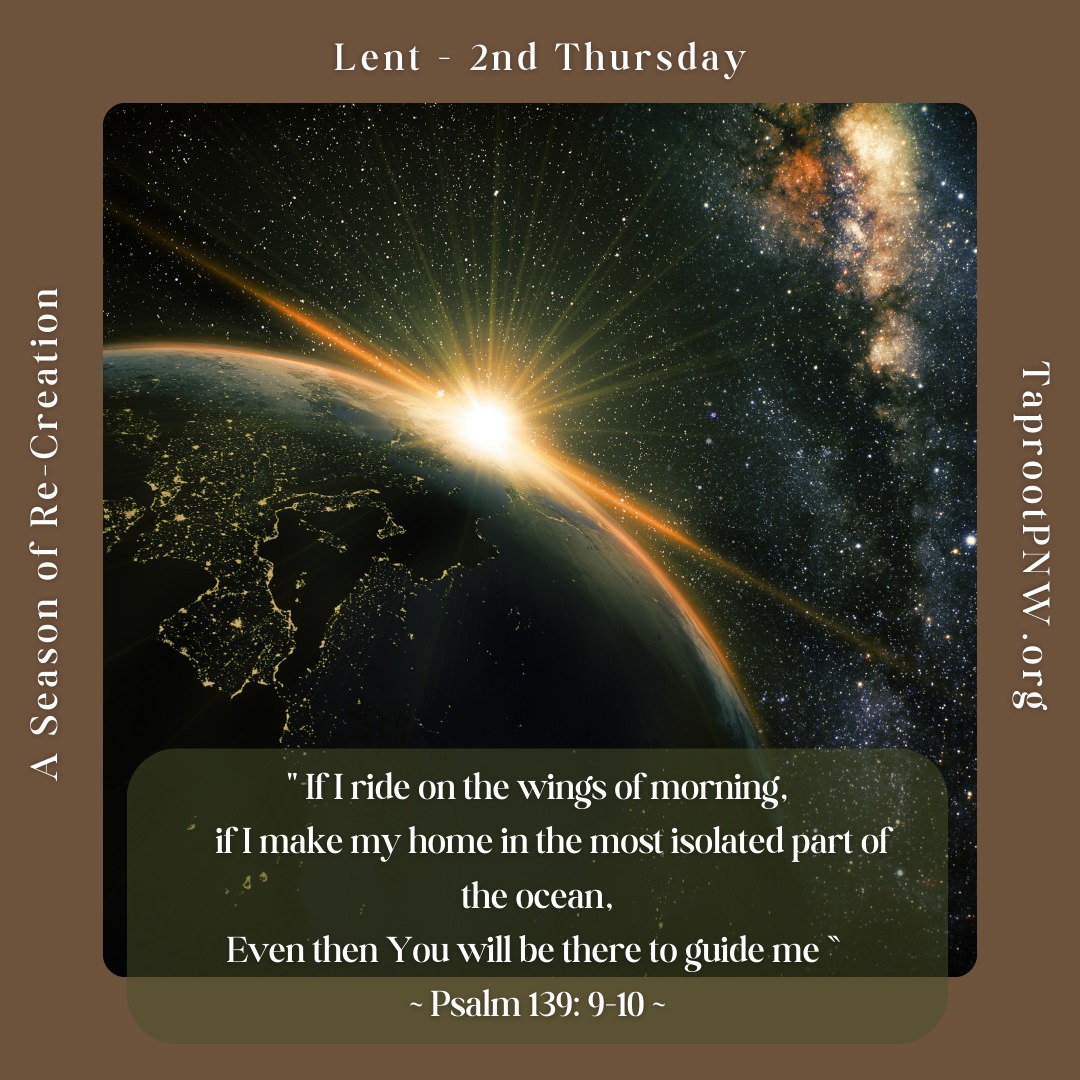 Lent, Week 2, Thursday - Are you a morning person? Or do you prefer the later evenings? Do you live near the sea, or in a tall building in the city? Wherever you make your home, and whenever you rise or rest, the sheltering wings of the Great Mother Hen can enfold and guide you.
#taprootpnw #Lent2025 #guidance #prayer #morning #evening #city #sea #encouragement