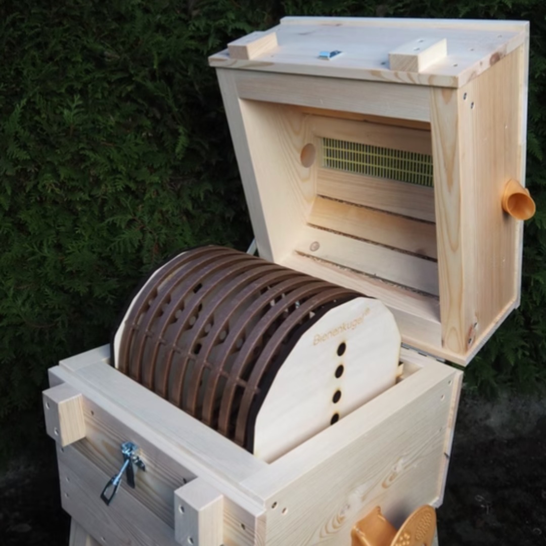 🐝🌍 Die Bienenkugel – Naturnahe Bienenhaltung für gesunde Bienenvölker 🌿✨
Die Bienenkugel revolutioniert die Imkerei durch ihre einzigartige, runde Bauweise, die den natürlichen Lebensraum der Bienen nachahmt. Inspiriert von Baumhöhlen, bietet sie eine artgerechte, stressfreie Umgebung, in der sich Bienenvölker gesund entwickeln können. 🌳🐝
Warum die Bienenkugel?
✅ Natürlicher Wabenbau – Die Bienen gestalten ihre Waben frei nach ihren Instinkten.
✅ Optimale Temperaturregulierung – Die kugelförmige Bauweise speichert Wärme im Winter und sorgt für ein ausgeglichenes Klima im Sommer.
✅ Nachhaltige & bienenfreundliche Haltung – Weniger Eingriffe bedeuten weniger Stress für die Bienen und fördern die Volksgesundheit.
✅ Einfache Handhabung – Die Bienenkugel ist ergonomisch, rückenschonend und sowohl für Einsteiger als auch für erfahrene Imker geeignet.
✅ Bienenfreundlich & ressourcenschonend – Nachhaltig konzipiert, um Energie zu sparen und die natürliche Widerstandskraft der Bienen zu fördern.
🌿 Mehr als nur ein Bienenstock – Die Bienenkugel steht für nachhaltige Imkerei, die Mensch und Natur verbindet. Egal, ob in Gärten, auf dem Land oder in der Stadt – sie ist die ideale Wahl für alle, die aktiv zum Schutz der Bienen beitragen möchten.
🐝💛 Bienenhaltung, die im Einklang mit der Natur steht!
#Bienenkugel #NaturnaheImkerei #Bienenschutz #Bienenliebe #Nachhaltigkeit #RettetDieBienen #BienenFreunde #Bienenwohl