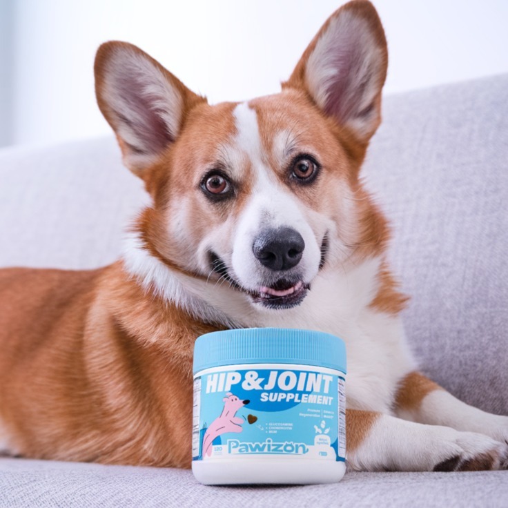 A happy pup starts with healthy joints! 🐕💙 Give them the care they deserve. #Pawizon #hipandjointsupportfordogs #doglife #dogsupplies #dogsupport #dogjointsupplement #dogsupplements #dogjointcare #dogjoints #dogjoint #dogjointpain #dogjointhealth #doglover #DogSupplements #dogsupplement #dogsupply