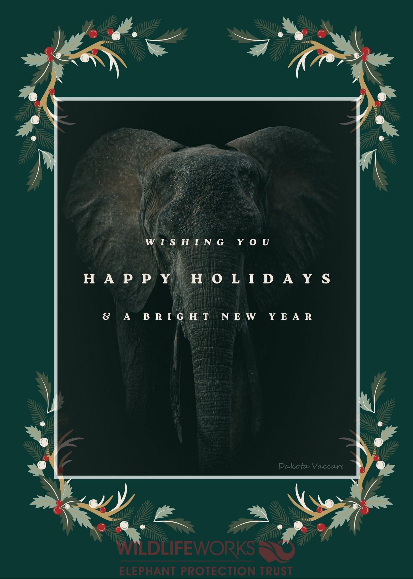 Happy holidays from the Elephant Protection Trust!
Photo taken by Dakota Vacarro.
#happyholidays #Elephantprotectiontrust #christmas #photooftheday #natureisspeaking #beautiful #saynotoivorypoaching