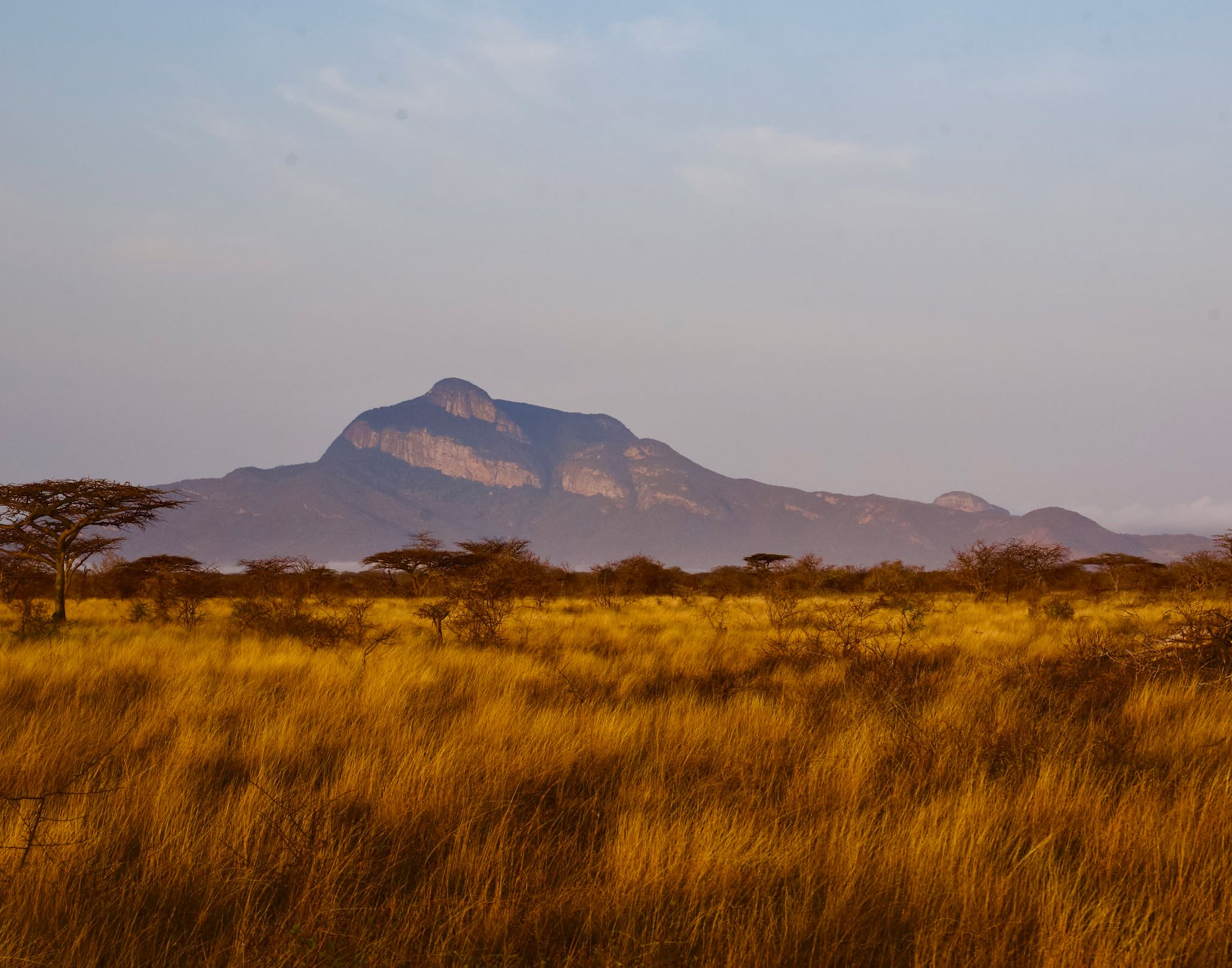 "Siku njema huonekana asubuhi" Swahili proverb meaning a good day is seen in the morning. A stunning view of Mount Kasigau from a distance by Simon Bird.
#nature #beautiful #photooftheday #wildlifematters #elephantprotectiontrust #nature #photooftheday #beautiful #kasigau #wildlife #natureisspeaking