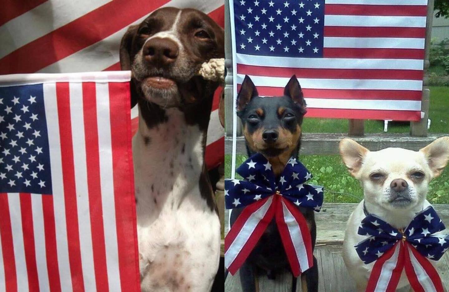 We will be closed tomorrow for the holiday.
We hope everyone has a safe and fun Independence Day!
Regular hours will resume on Friday July 5th.