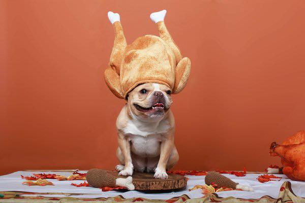 Happy Thanksgiving!
We will be closed 11/28/2024 for the holiday.
Regular hours will resume on Friday 11/29/2024.
#gobbletillyouwobble🦃