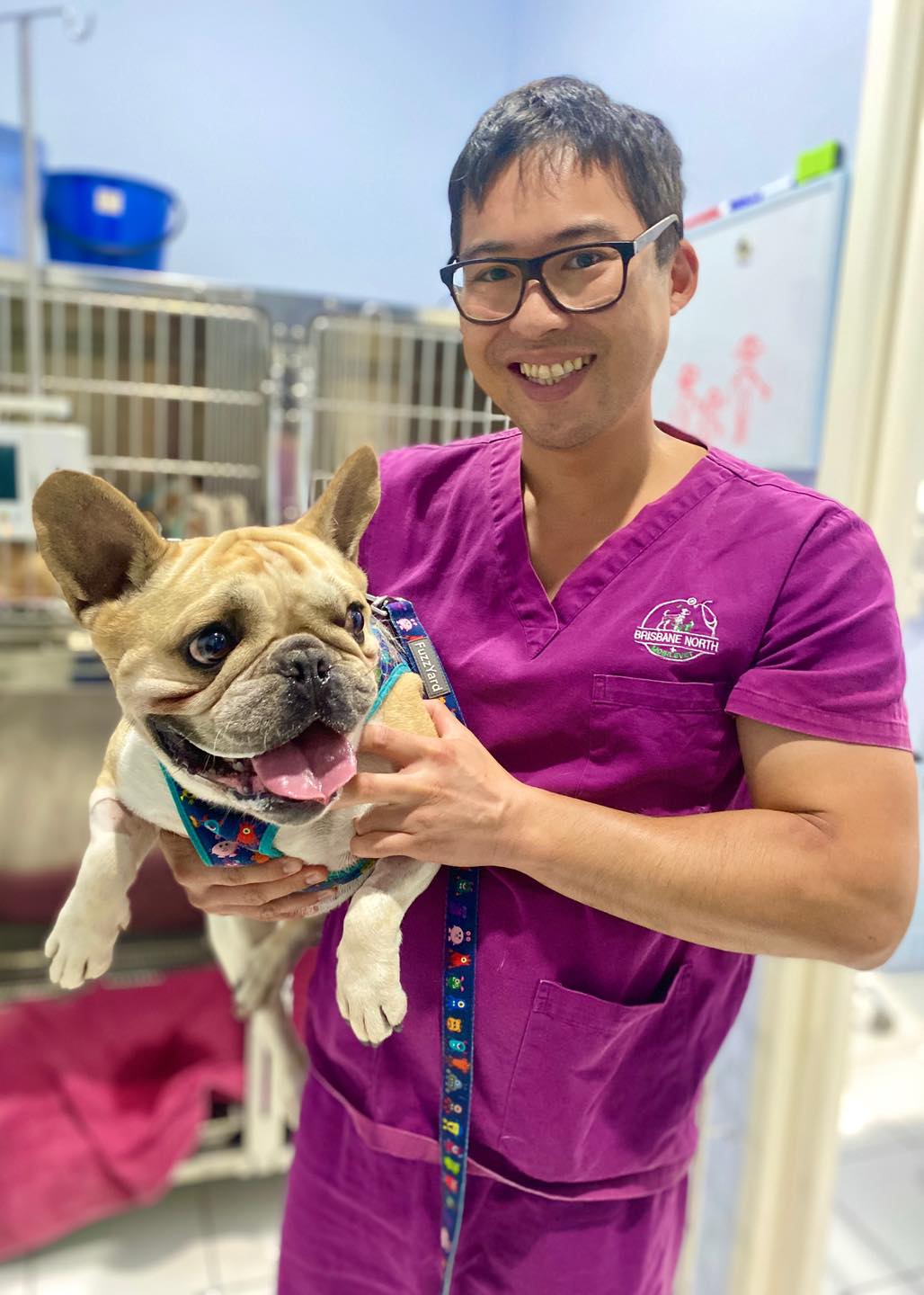 ๐พ Keep those puppy smiles shining bright! ๐ฆทโจ
The little Frenchie Pablo just had his teeth clean at our clinic last week! Look how happy he was after his dental procedure. ๐
๐ฅ Our veterinary clinic is offering dental cleanings for your furry friends! Regular dental care isn't just about fresh breath โ it's essential for their overall health. ๐ฉบ
Book your appointment today ๐ https://www.bnmv.com.au/book-online and let's keep those pearly whites in tip-top shape!
#PetDentalHealth #HappyPetsHappySmiles ๐ถ๐