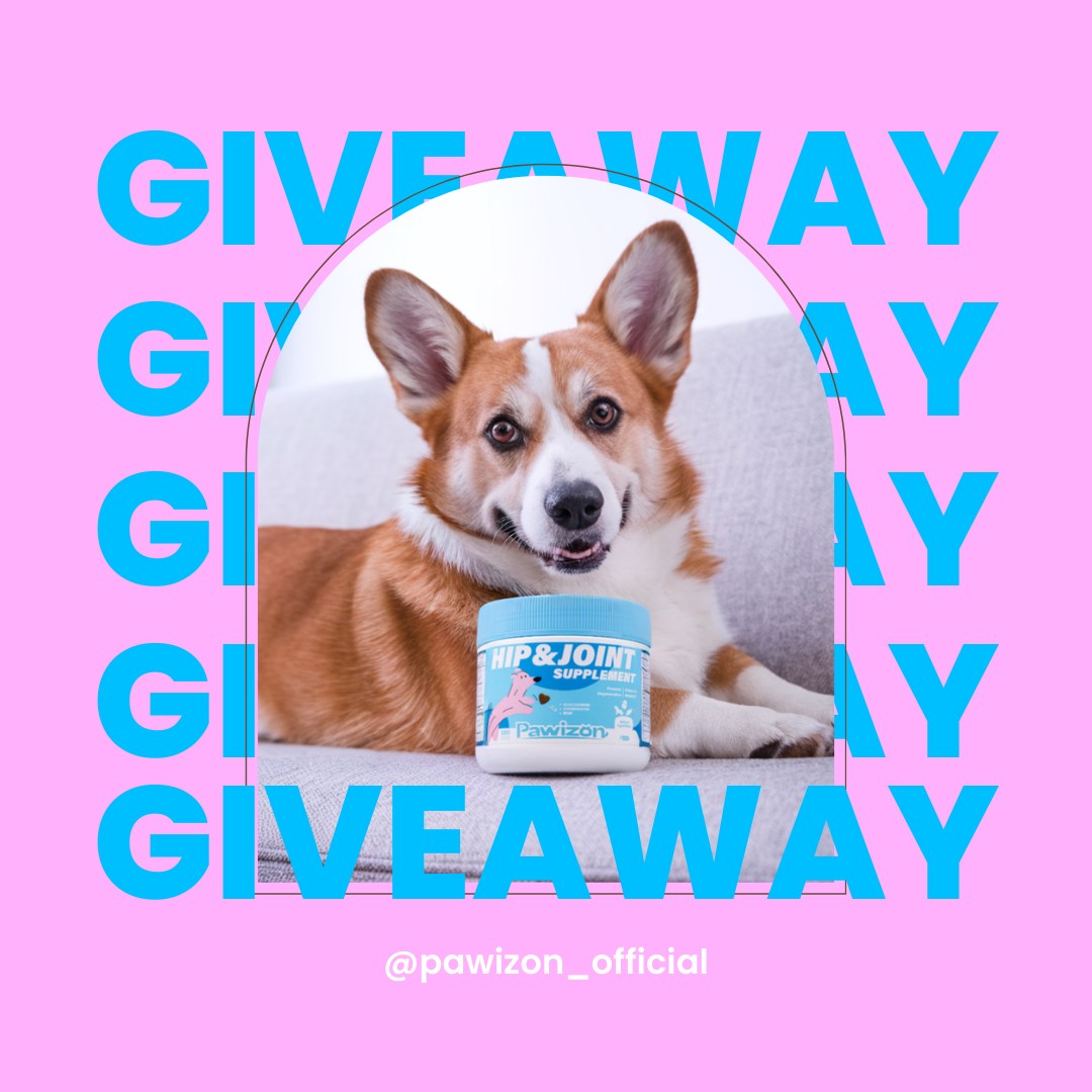 🩵GIVEAWAY + EXCLUSIVE DISCOUNT!🩵Keep Your Pup Active with Our Hip & Joint Supplement! 🐕✨
🎉 Five lucky winners will each receive a bottle of our premium Hip & Joint Supplement—ideal for keeping senior or active dogs agile, comfortable, and full of life!
🐾 How to enter? (Easy Peasy!)
1️⃣ Follow @pawizon_official (you're here!)
2️⃣ Like this post 🩵
3️⃣ Comment below with your dog’s name + age (e.g., "Buddy, 8 yrs!")
🛍️ Want it now? Use code 20LPYGY3 on Amazon for 20% OFF!
⏰ Entries close April 17 at 11:59PM PST. Winners announced April 18 via Instagram Stories + this post!
📍 US residents 18+ only.
✨ Bonus entry: Share to Story & tag us!
Per Instagram rules, this promotion is in no way sponsored, administered, or associated with Instagram, Inc. By entering, entrants confirm that they are 18+ years of age, release Instagram of responsibility, and agree to Instagram’s terms of use.
#DogJointHealth #Pethealthtip #doghealth #doglove #puppylove #GiveawayAlert #dogsupplement #dogsupplies #doggiveaways #doglife #puppylife
