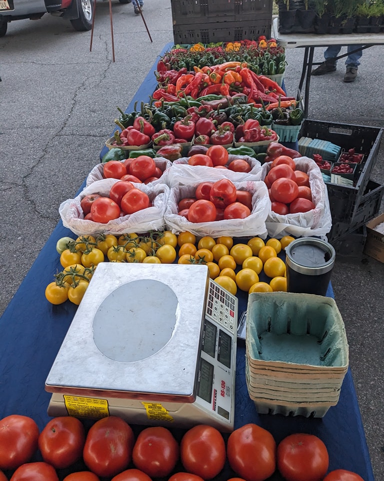 The heat finally got to the sweet corn. . . . So NO SWEET corn this week. We do have a wide assortment of peppers, tomatoes and watermelon.