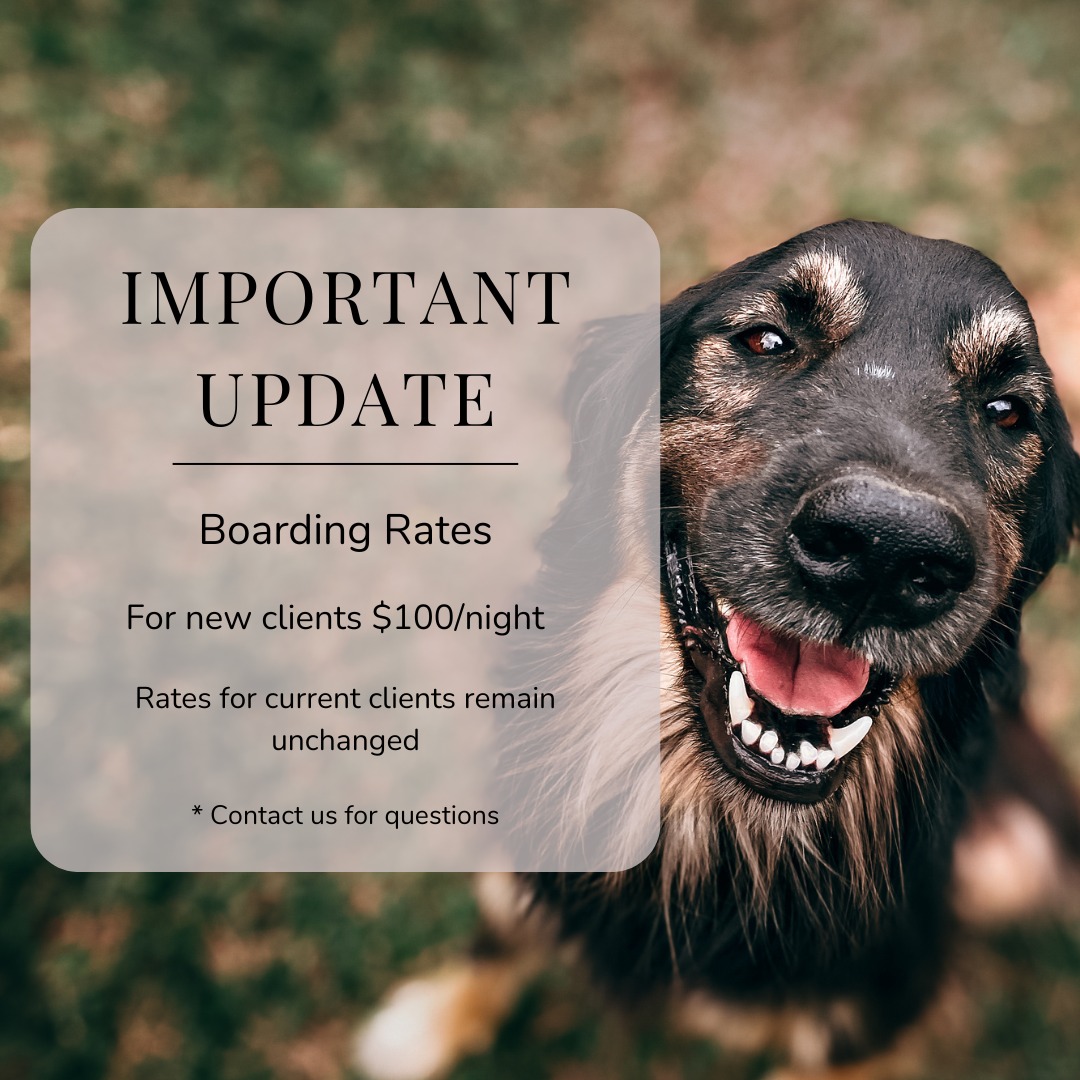 📢 Important Update for Our Valued Clients 📢
We want to keep you informed about some changes to our boarding rates. Starting today, the boarding rate for new clients will be $100 per night.
We deeply appreciate the trust and loyalty of our current clients, and we want to assure you that your rates will remain unchanged. This adjustment applies only to new clients, and we are committed to providing the same high-quality care and attention that your pets deserve.
Thank you for your understanding and continued support. If you have any questions, please don’t hesitate to reach out to us!
🐾❤️
#PuddleTownHounds #BoardingUpdate #PetCare