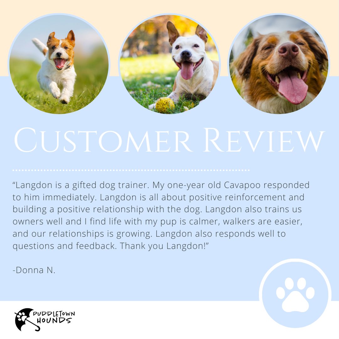 We love hearing from our happy clients! Here’s what Donna had to say about their experience with Puddletown Hounds. ❤️ #ClientLove #PuddletownHounds