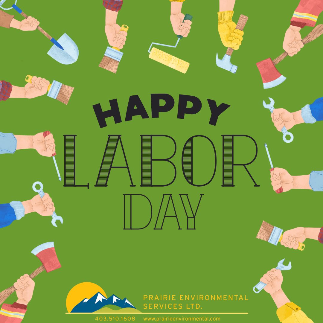 Happy Labor Day!
#pestcontrol #industrial #lawncare #okotoksbusiness #highriveralberta #weedcontrolandfertilization #foothillscountyalberta #okotokssmallbusiness #shoplocally #shopokotoks #shopsmallbusiness #supportsmallbusiness #okotoks #yycpropertymanagement #aceragelife #acreageliving #industrial #lawncare #okotoksbusiness #highriveralberta #weedcontrolandfertilization #foothillscountyalberta #okotokssmallbusiness #shoplocally #shopokotoks #shopsmallbusiness #supportsmallbusiness #okotoks #yycpropertymanagement