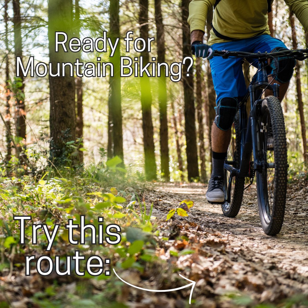 Ready for Mountain Biking? Try this route:
Elm Ridge Trail System
Elm Ridge Wild Forest, NY-23 & Cross Rd Windham, NY
Just two miles east of downtown Windham.
The Elm Ridge Trails are within the state-owned, protected, and forever wild lands of the Catskill Preserve Wild Forest.
Originally built with mountain bikers in mind, they're open to anyone who wants to soak in the beauty of nature and marked out so even a newbie won't get lost.
Starting off near the Route 23 parking area are the "FUN Loops" – and the name says it all. These trails are the gentlest ride on the ridge, meandering alongside babbling brooks, hidden rock walls, and thick forests. It's perfect for beginners honing their skills.
If you're up for a bit more of a challenge, check out the "Levitate" trail.
It'll take you to the top of the ridge where you'll find miles of backcountry, flowy singletrack just waiting to be explored. Each trail has its own vibe – some with optional jumps and kicks to keep things interesting.
Whether you're squeezing in a quick hour-long ride or planning to spend the whole day cruising, there's something here for everyone. With over twenty-five miles of trails in the Elm Ridge Trail Network, you'll never run out of new paths to discover.