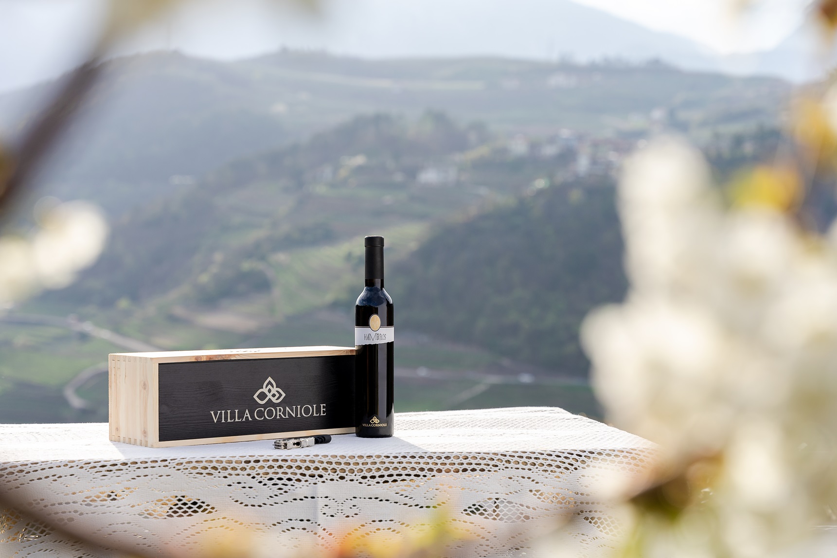 𝗕𝘂𝗼𝗻𝗮 𝗣𝗮𝘀𝗾𝘂𝗮 | Vi auguriamo una giornata serena, da condividere con le persone care e, magari, con un buon calice di vino.
www.villacorniole.com