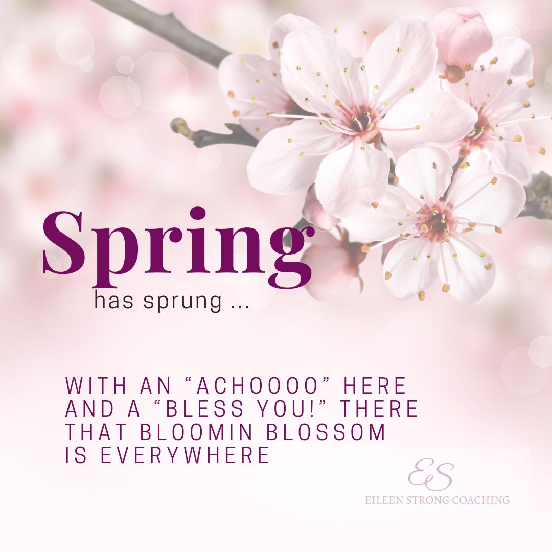 Spring has arrived, bringing it with the Hay Fever Season! 🤧 So whilst the early blossoms are very VERY beautiful indeed, if your eyes are all red, watery and runny, your nose is all a-drip, and your throat feels like the bottom of a budgerigar's cage, the daily Pollen Count reading can become a thing of vital importance over the next 7-8 months.
So what are your Go To Hay Fever Hacks? 🤧😵🥴
I've just written a Blog on these (link in comments below) and if I've missed anything, please let me know! Thank you, and Bless you.