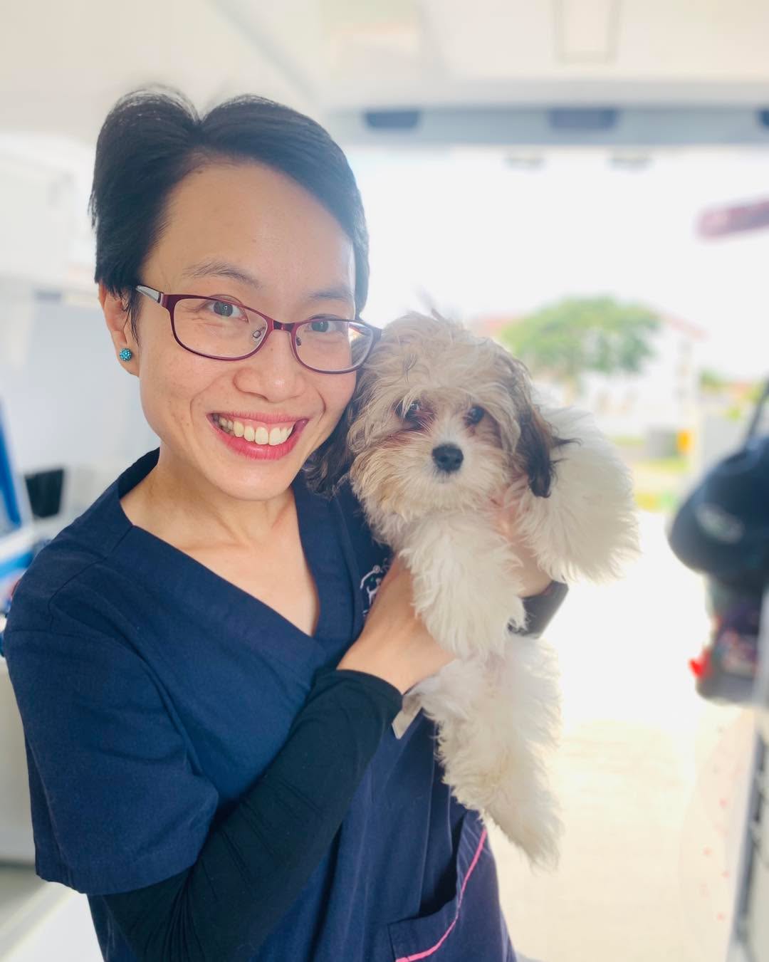 ๐ง๏ธ๐พ Rainy Days are No Problem for the BNMV Team! ๐พ๐ง๏ธ
Donโt let the rain dampen your petโs health! ๐ฆ๏ธ Our mobile vet service ensures your furry friends receive the best care, rain or shine. ๐ง๏ธ๐ก
โ
Stay Dry: No need to brave the weather.
โ
Stress-Free: Keep your pets comfortable at home.
โ
Reliable Care: Comprehensive services, no matter the forecast.
Book your rainy day appointment and let us come to you! ๐ถ๐ฑโ
๐ Call us on 1300 308 309 or visit our website www.bnmv.com.au to schedule an appointment! ๐
#MobileVet #PetCare #RainOrShine #VetOnWheels #HealthyPets