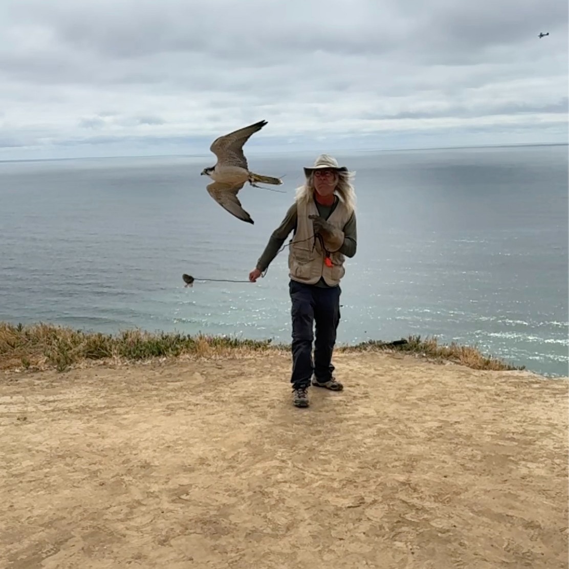 https://www.totalraptorexperience.com/single-post/born-to-fly