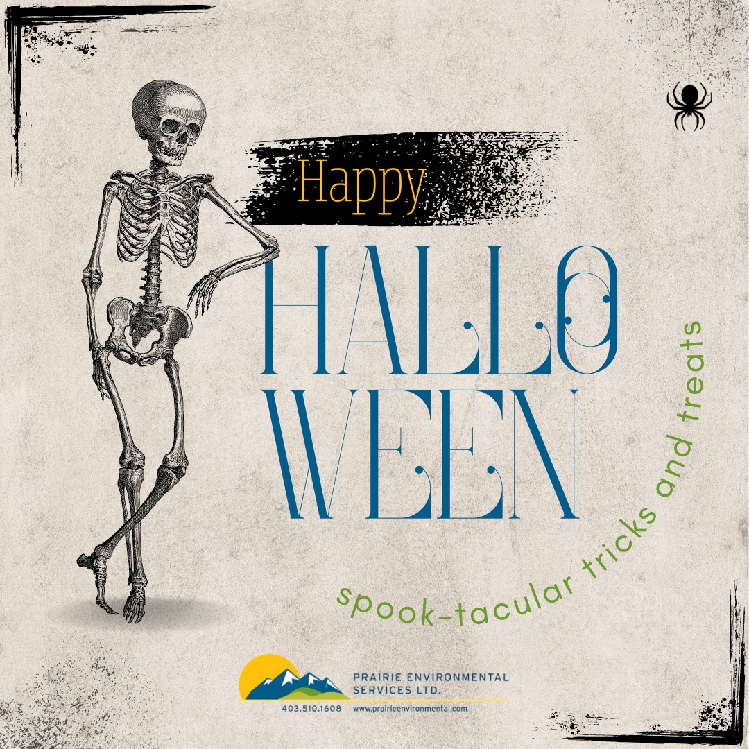 Wishing You All a Safe and Spook-tacular Halloween.
#wegowheretheweedsgrow #okotoksbusiness #okotokshalloween