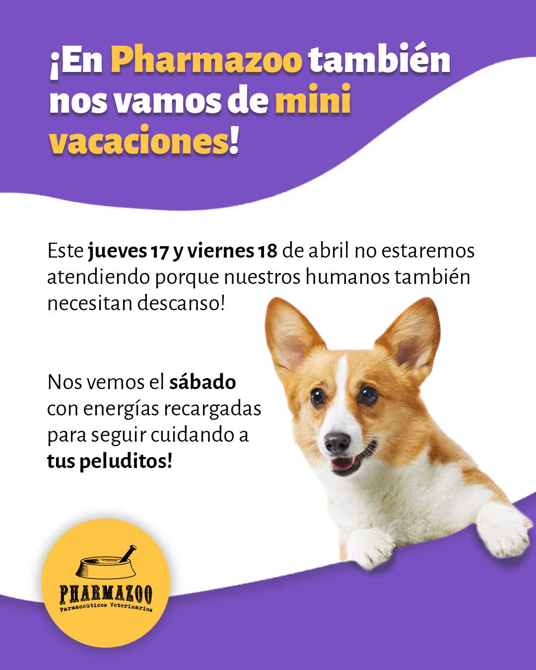 🌴 En Pharamzoo nos tomamos un mini break de Semana Santa 🐾
Este jueves 17 y viernes 18 estaremos cerrados, recargando energías (y croquetas 😜).
Pero no se preocupen, el sábado 19 volvemos al ruedo como siempre 💚
¡Felices días de descanso, humanos y peluditos! 🐶🐱✨