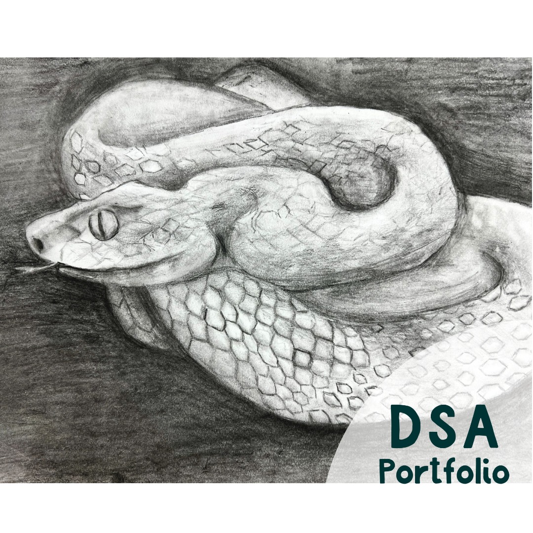 🐍✨ This Chinese New Year, our Advanced students showcased their artistry by creating their own snakes using detailed pencil shading techniques. They observed and brought to life the intricate patterns and textures of a snake, reflecting patience, precision, and the spirit of creativity as they honor the Year of the Snake. Well done, artists! 🎉