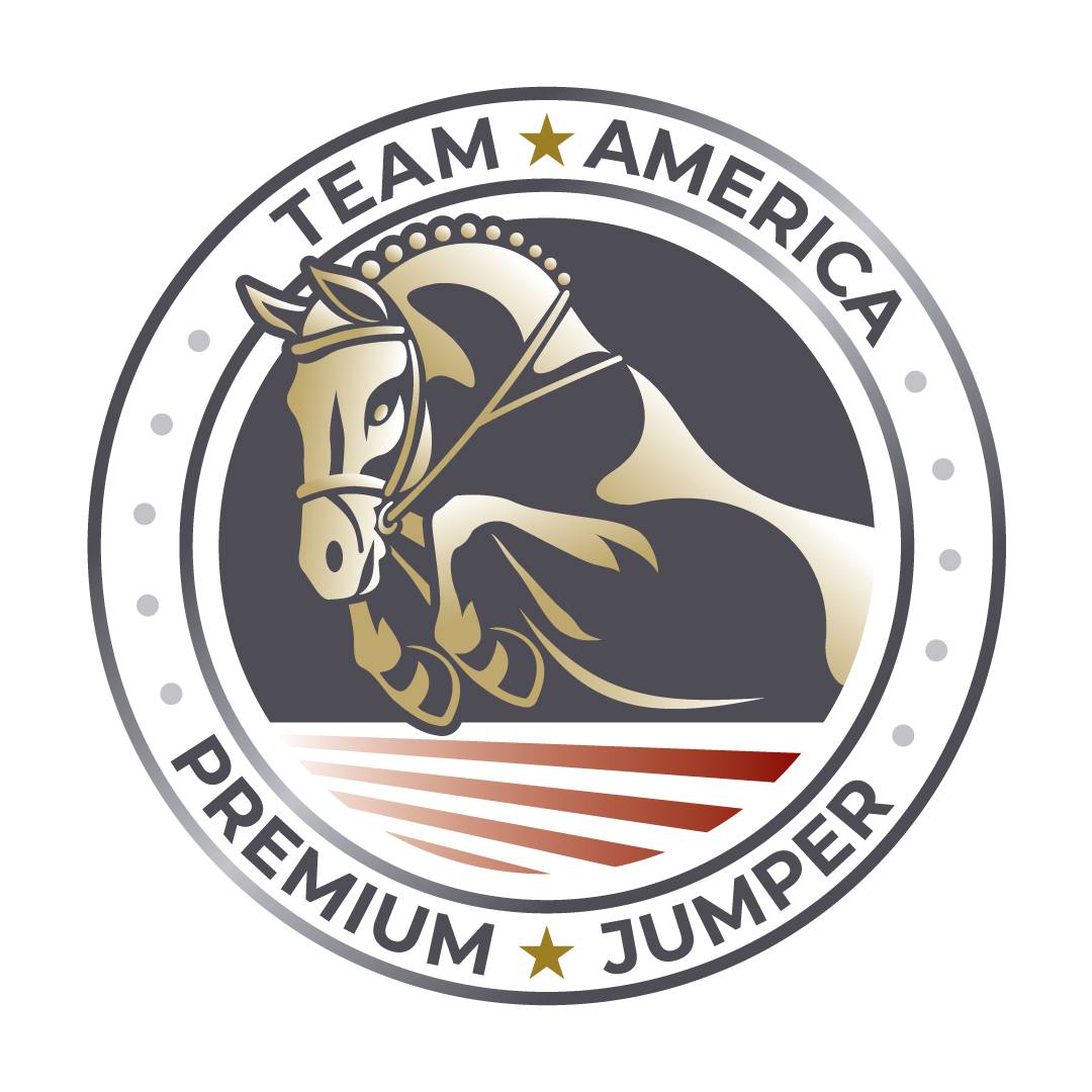 New Logo for Team America Premium Jumper. #graphicdesign #logo