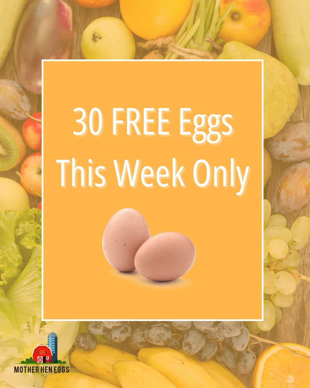 30 FREE EGGS – THIS WEEK ONLY! 🥚
We’re giving away 30 free-range eggs with every Fruit & Veg Box ordered this week. No catch, just fresh, tasty produce and a little something extra on us.
🥕🥬🍎 Each box is packed with seasonal fruit, veg & salad, perfect for family meals, meal prep, or just keeping your fridge stocked with the good stuff
🥚 Farm-Fresh Eggs: Our free-range eggs are laid just days before delivery, guaranteeing rich flavour, dark golden yolks, and unbeatable freshness
Choose your size:
✔ Medium (£19.99) or Large (£29.99)
✔ 30 farm-fresh eggs included, completely free
✔ Free delivery in Cardiff, Newport Caerphilly, RCT & the Vale - Check our website for full details of the areas we cover
This deal won’t be around for long, grab yours before it’s gone!